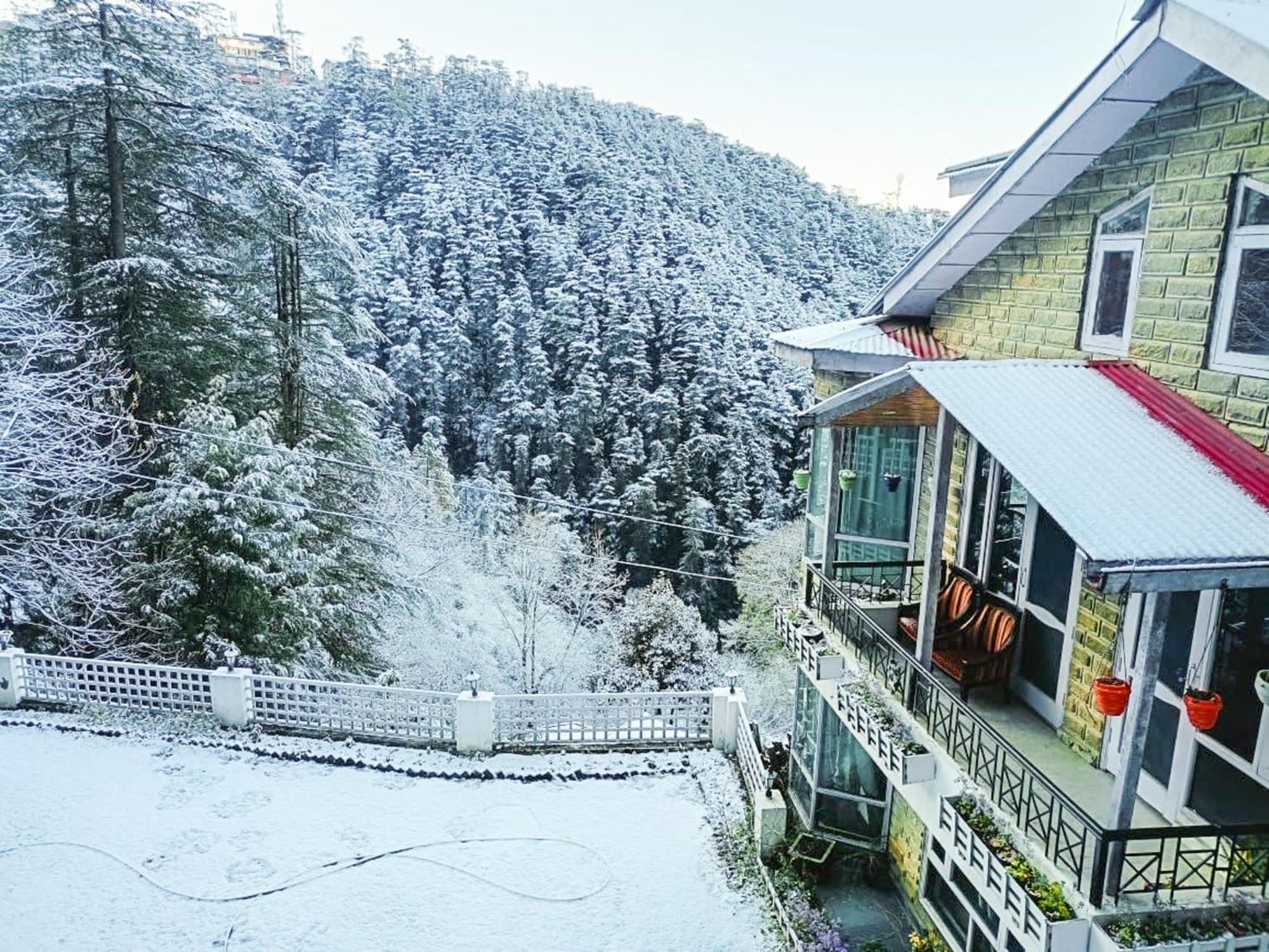 Whispering Pines * Shimla