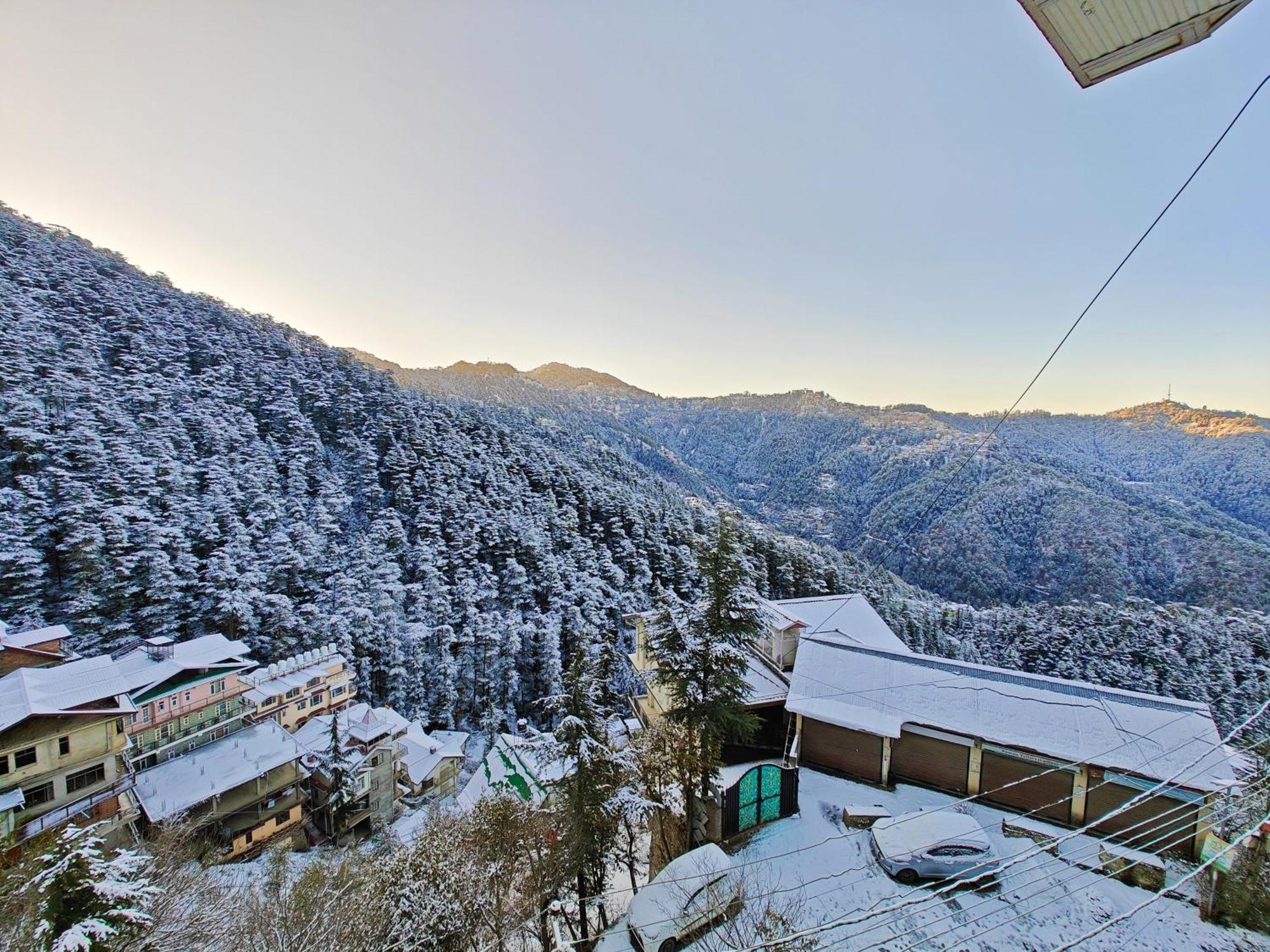 Frosty Woods Homestay * Shimla