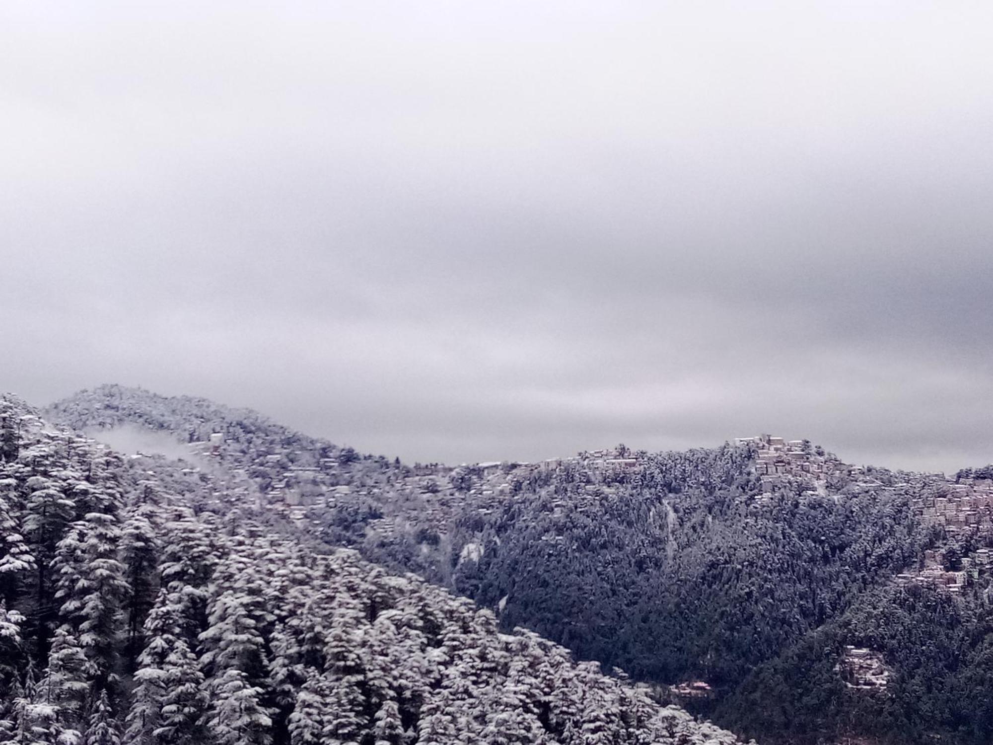 Regency Guest house Shimla