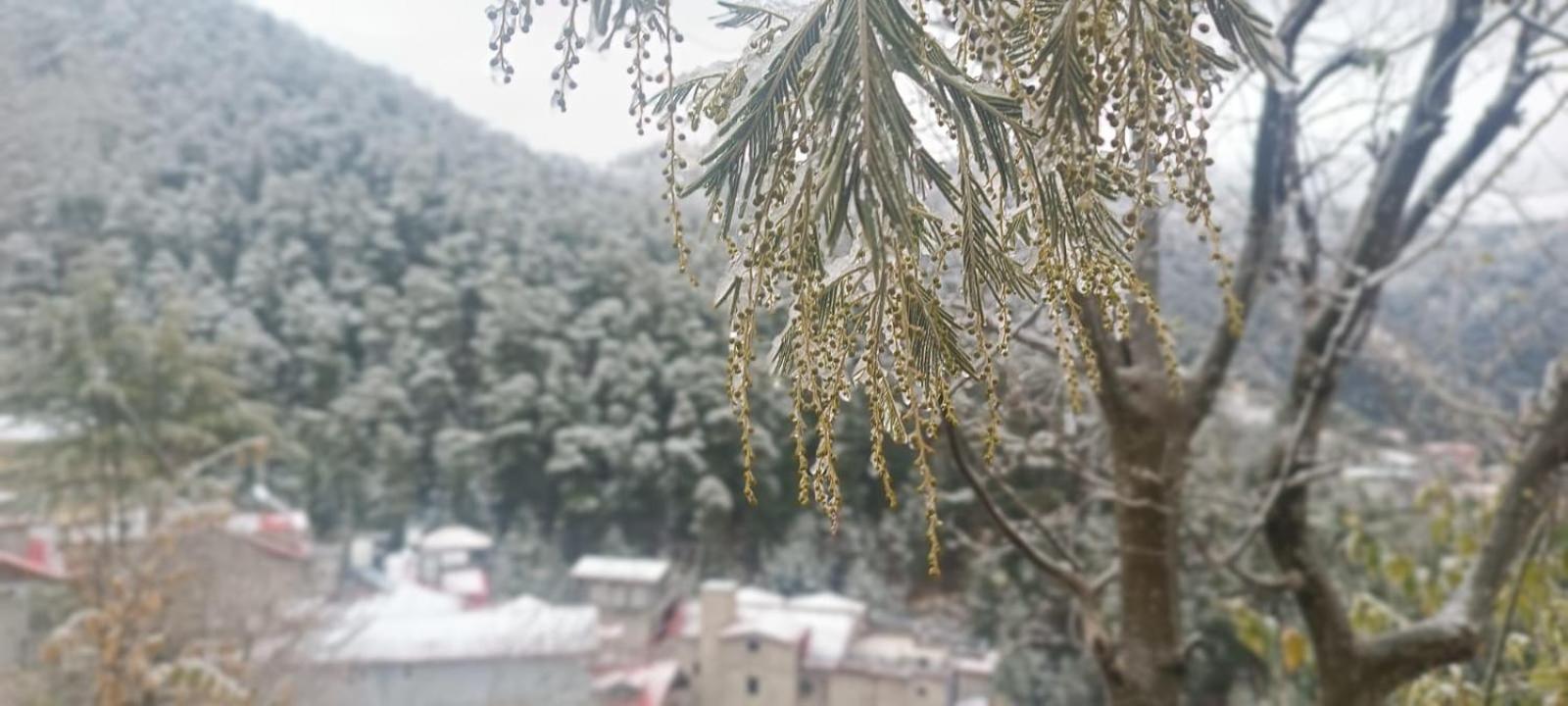 Mom Blessing Shimla