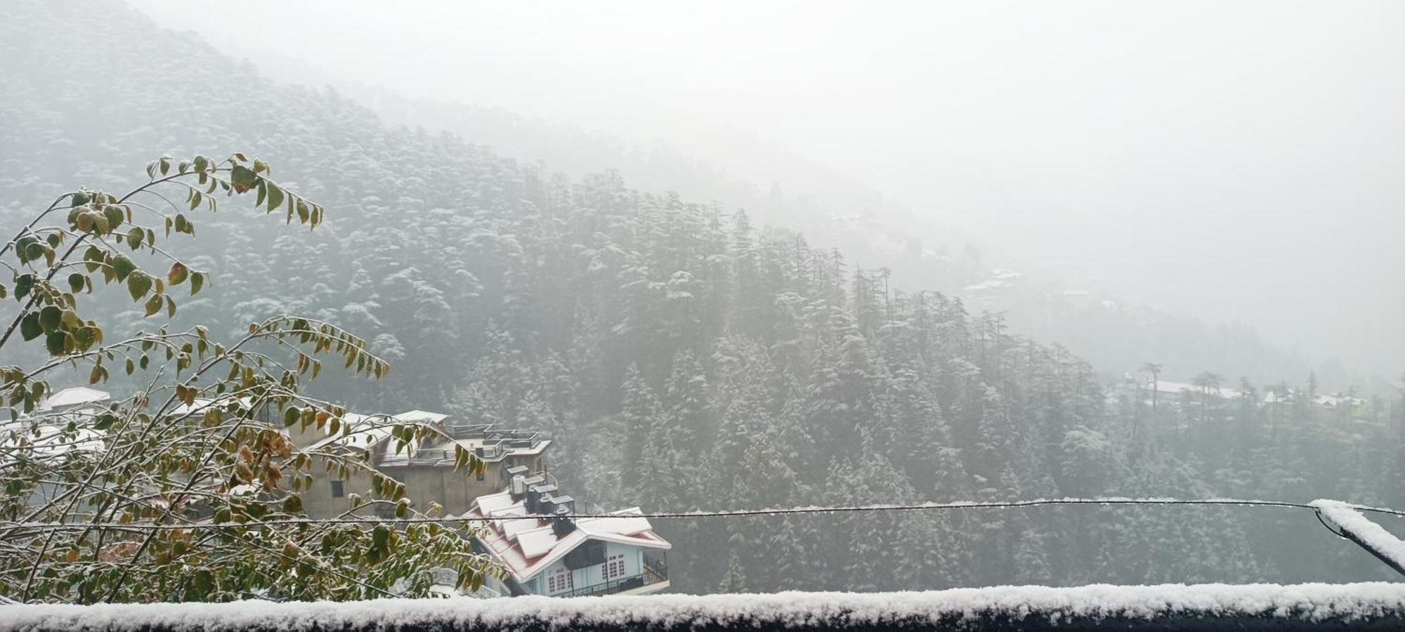 Mom Blessing Shimla