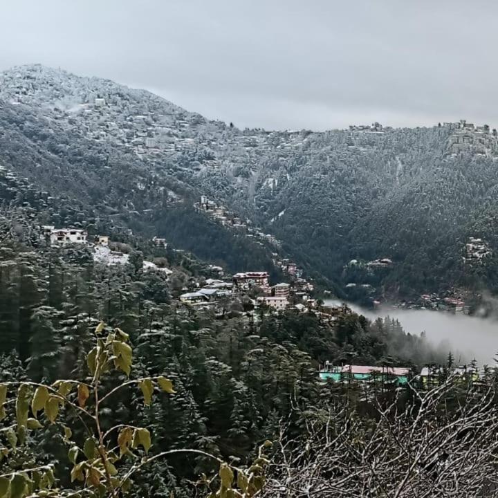 Mom Blessing Homestay Shimla