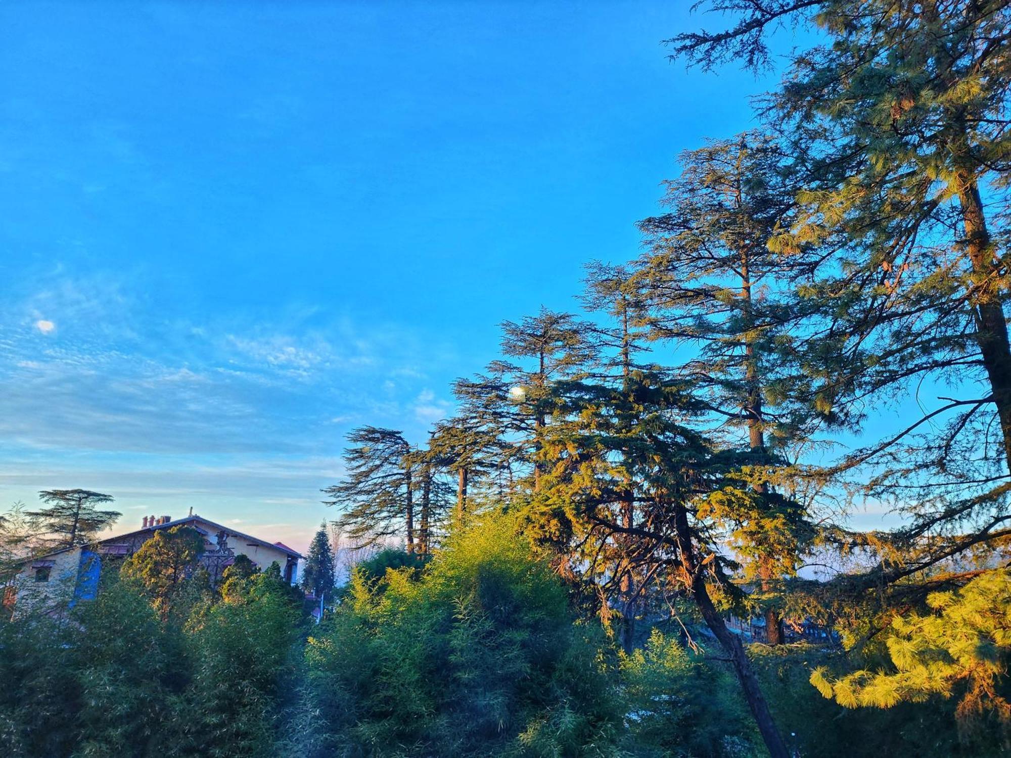 Pineview Hotel Shimla