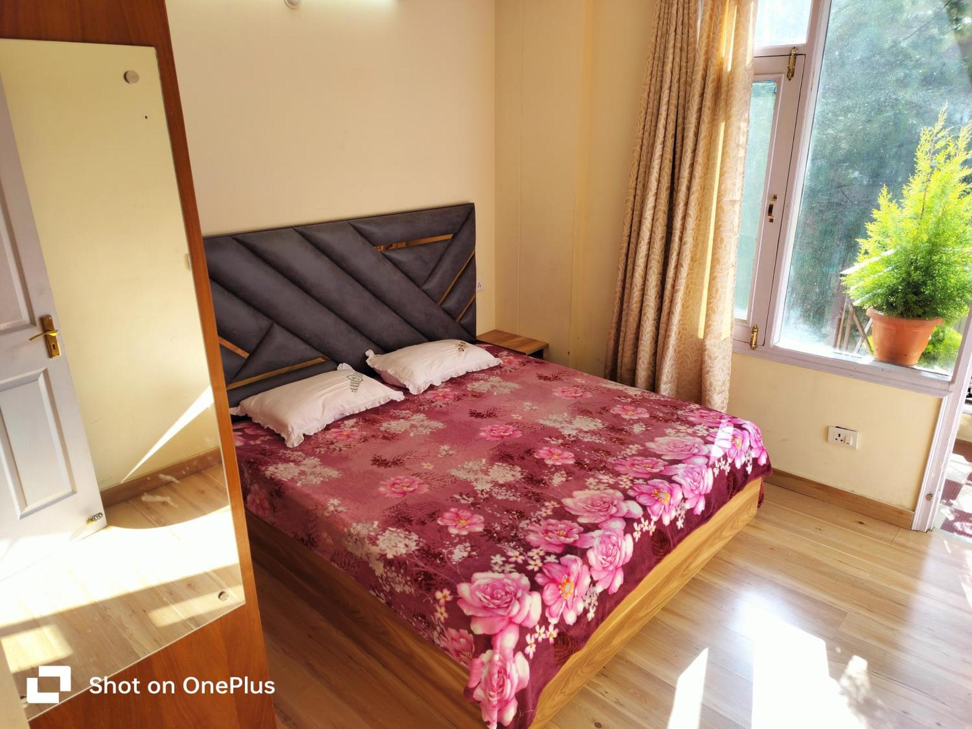 Bed & Breakfast Vibes Free Pick & Drop From Isbt Shimla