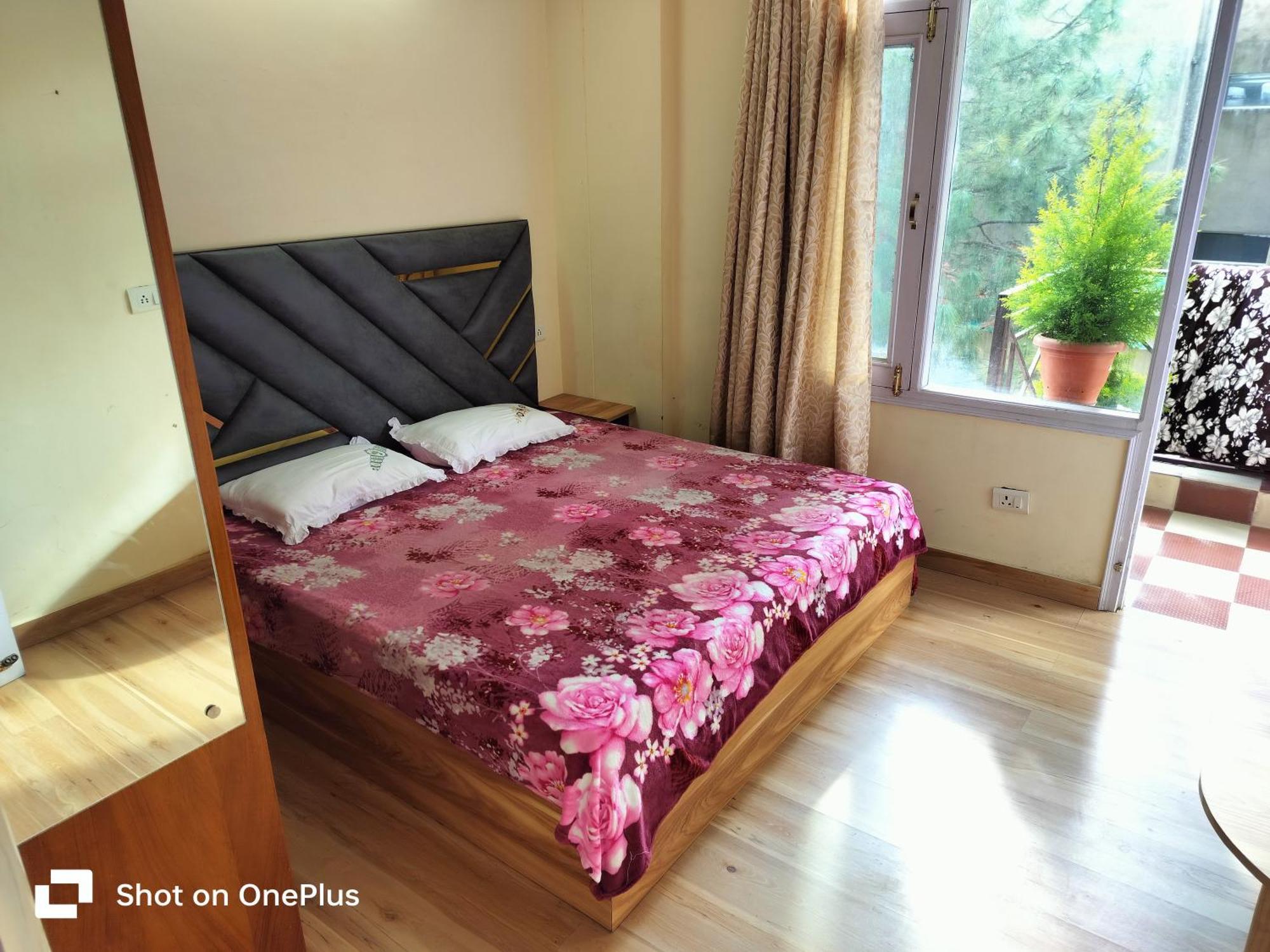 Vibes Free Pick & Drop From Isbt Bed & Breakfast