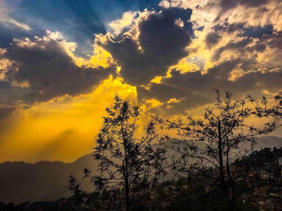 Homestay Uptown Boutique Homes - 1 Shimla