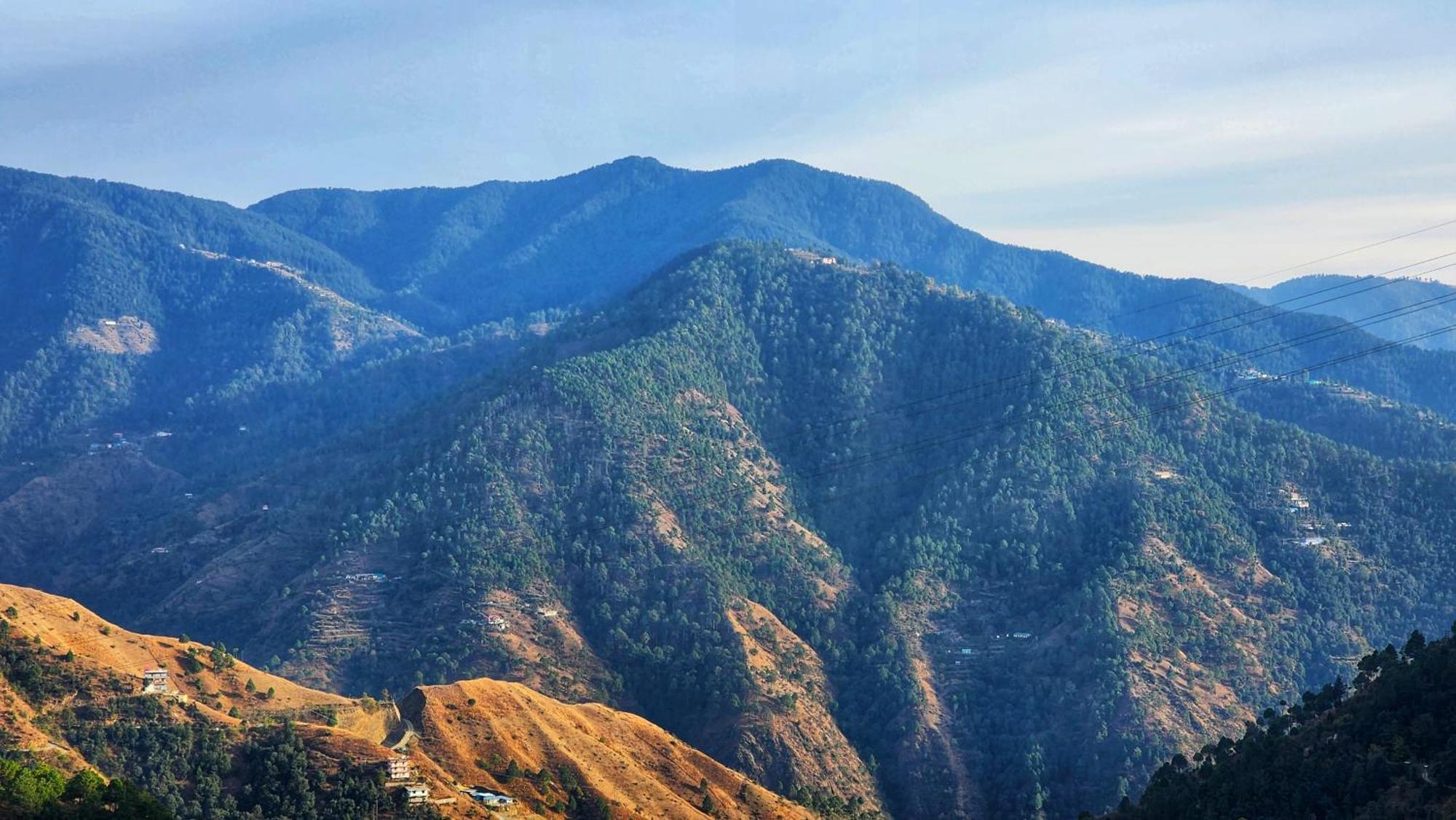 Bed & Breakfast Royal Cedar Shimla