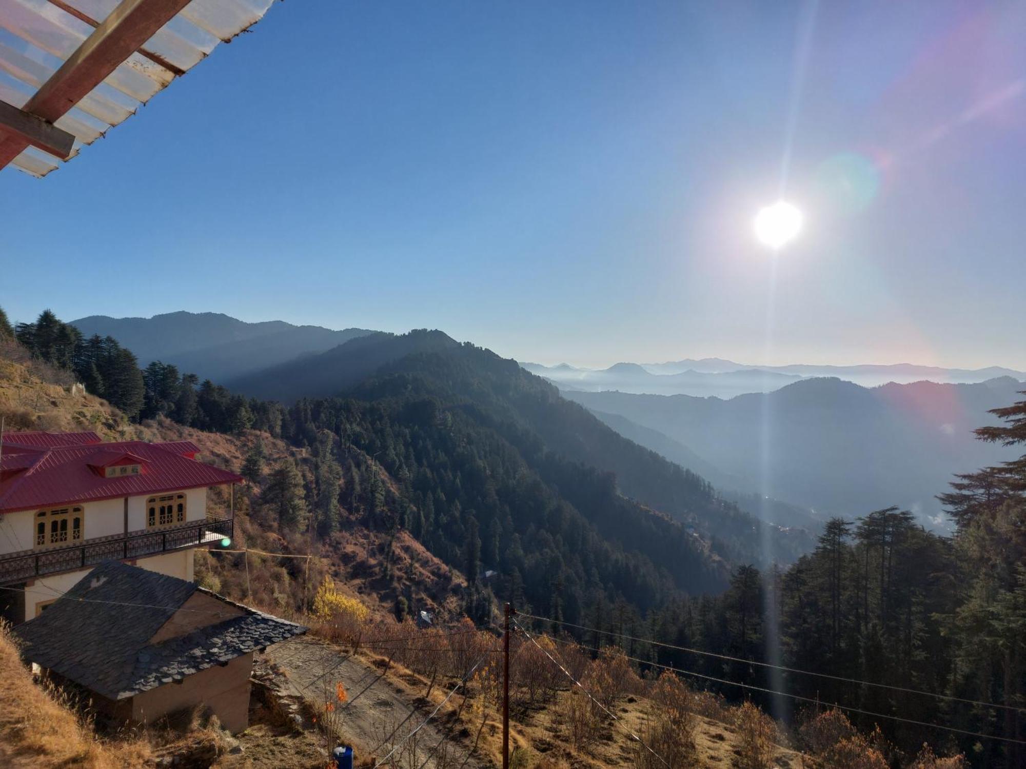 Himalayan Cedar Guest house Shimla