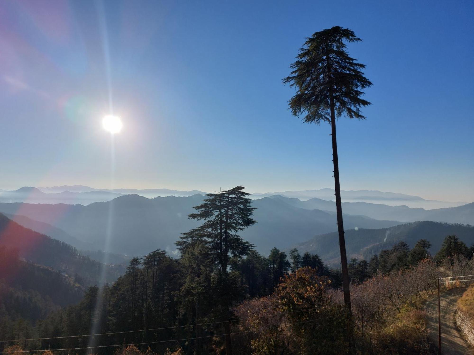 Himalayan Cedar Guest house