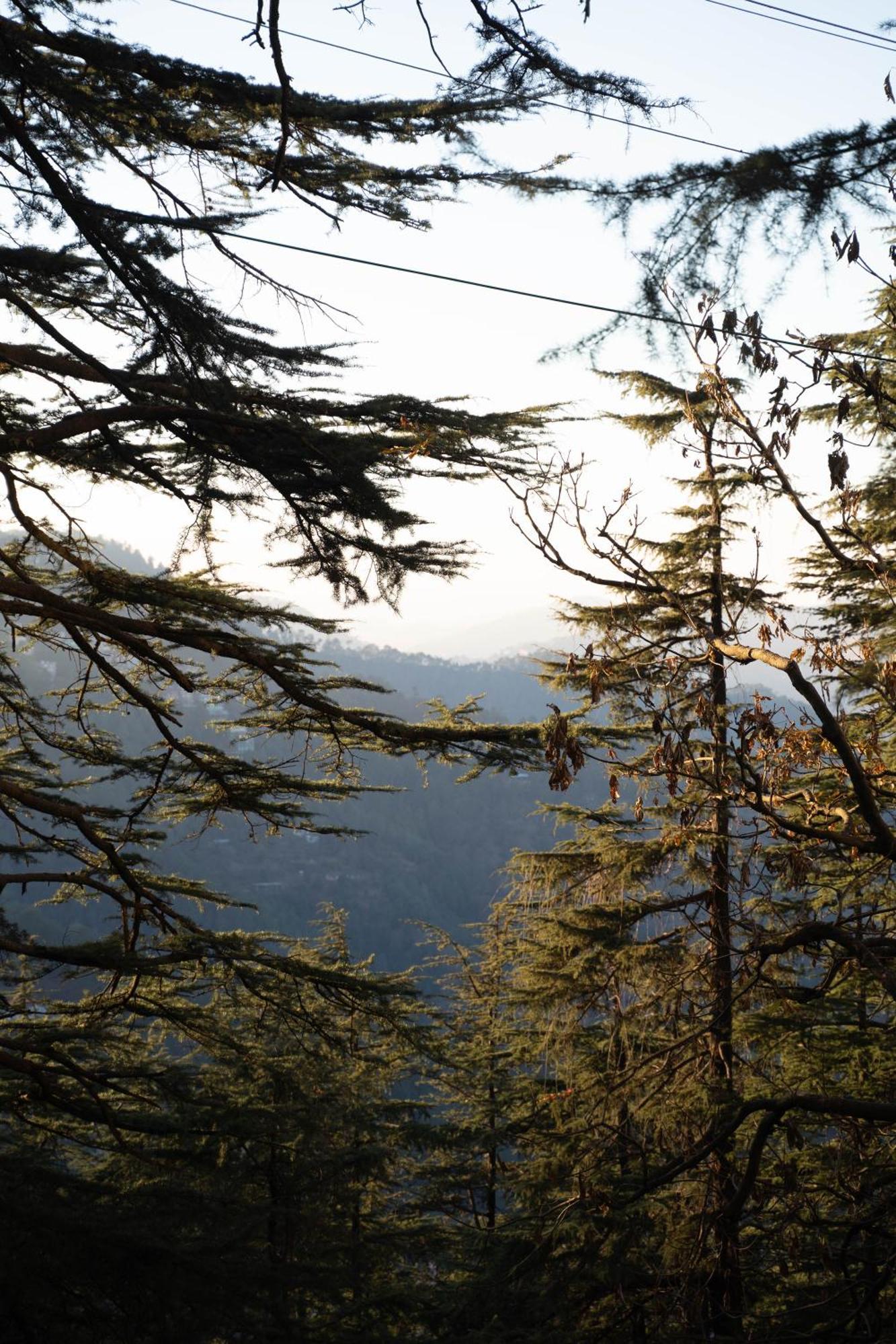 The Namah Retreat By Perfectstayz Homestay *