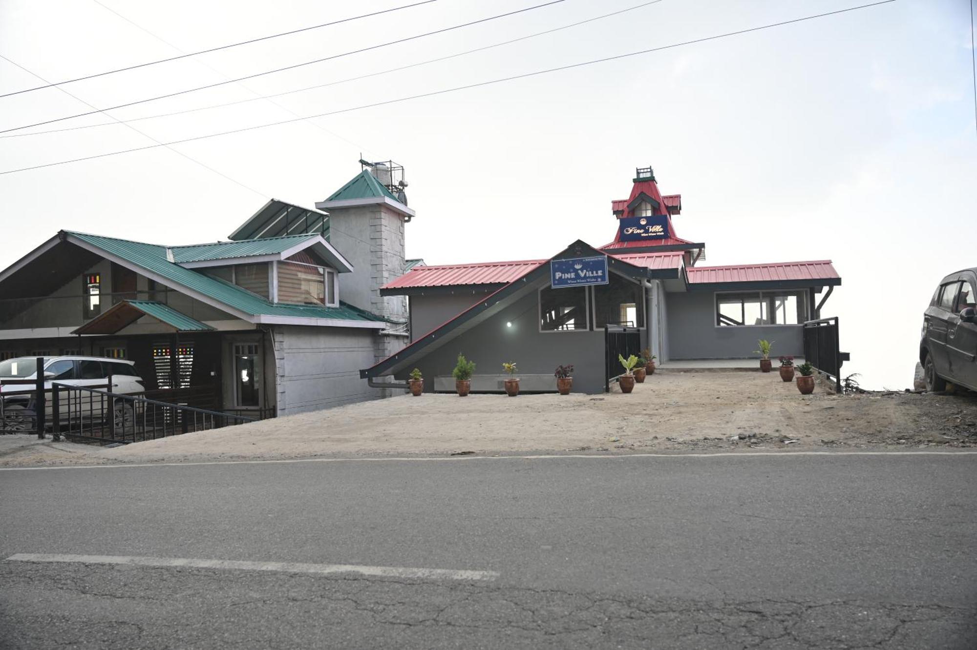 Pine Shimla