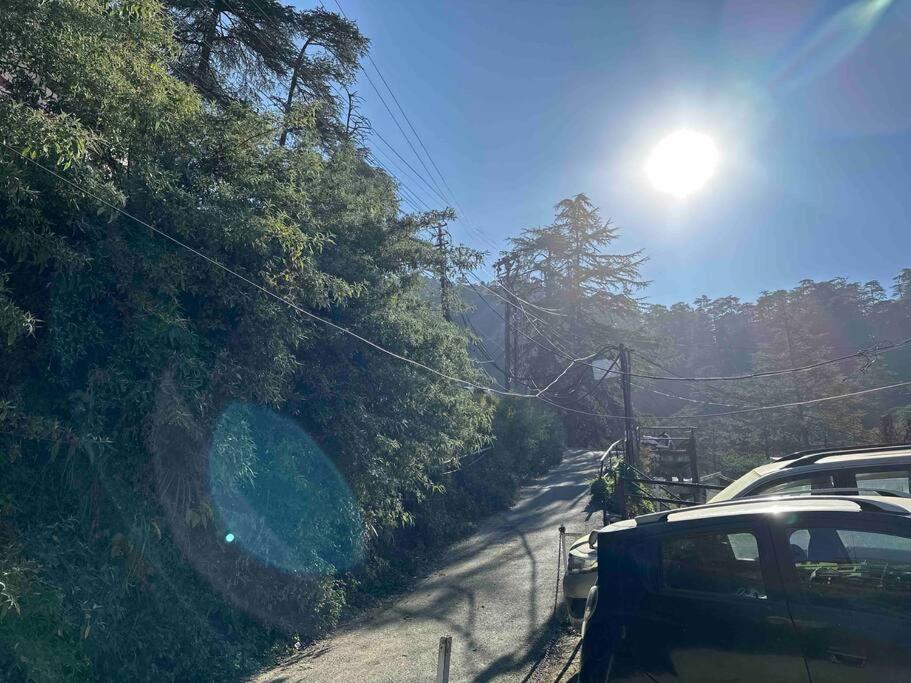 The Misty Pines Shimla