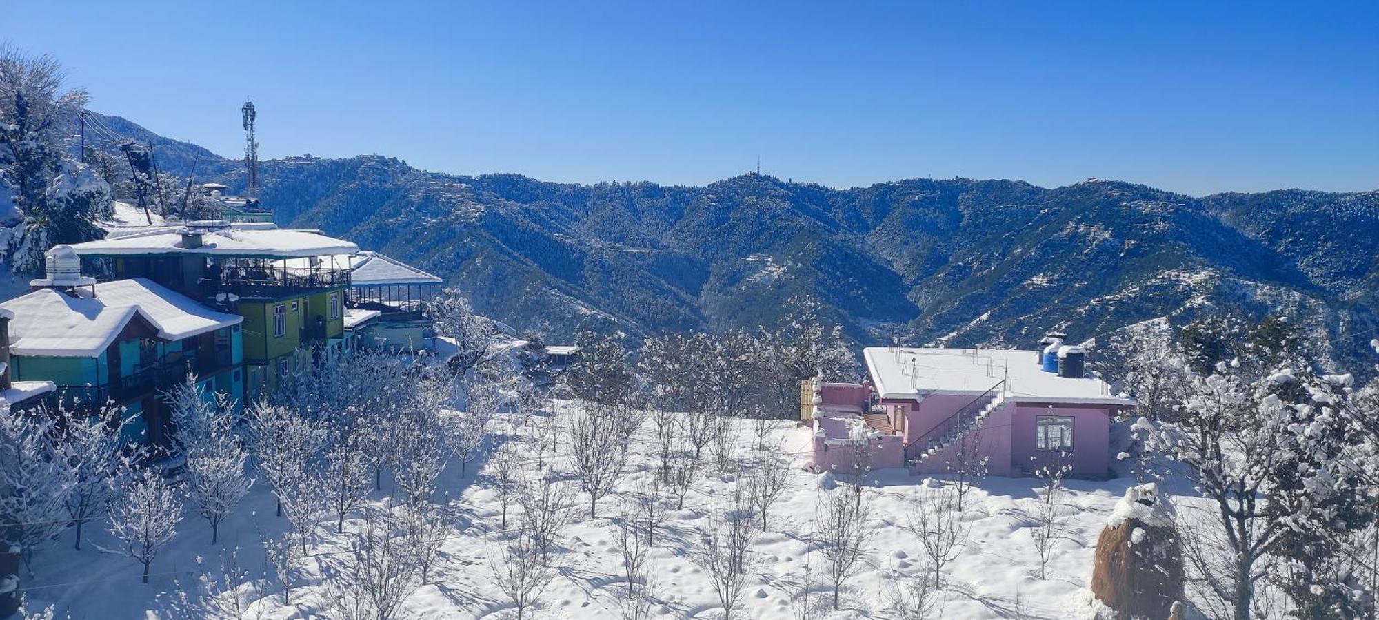 Vintage Woods Apartment Shimla
