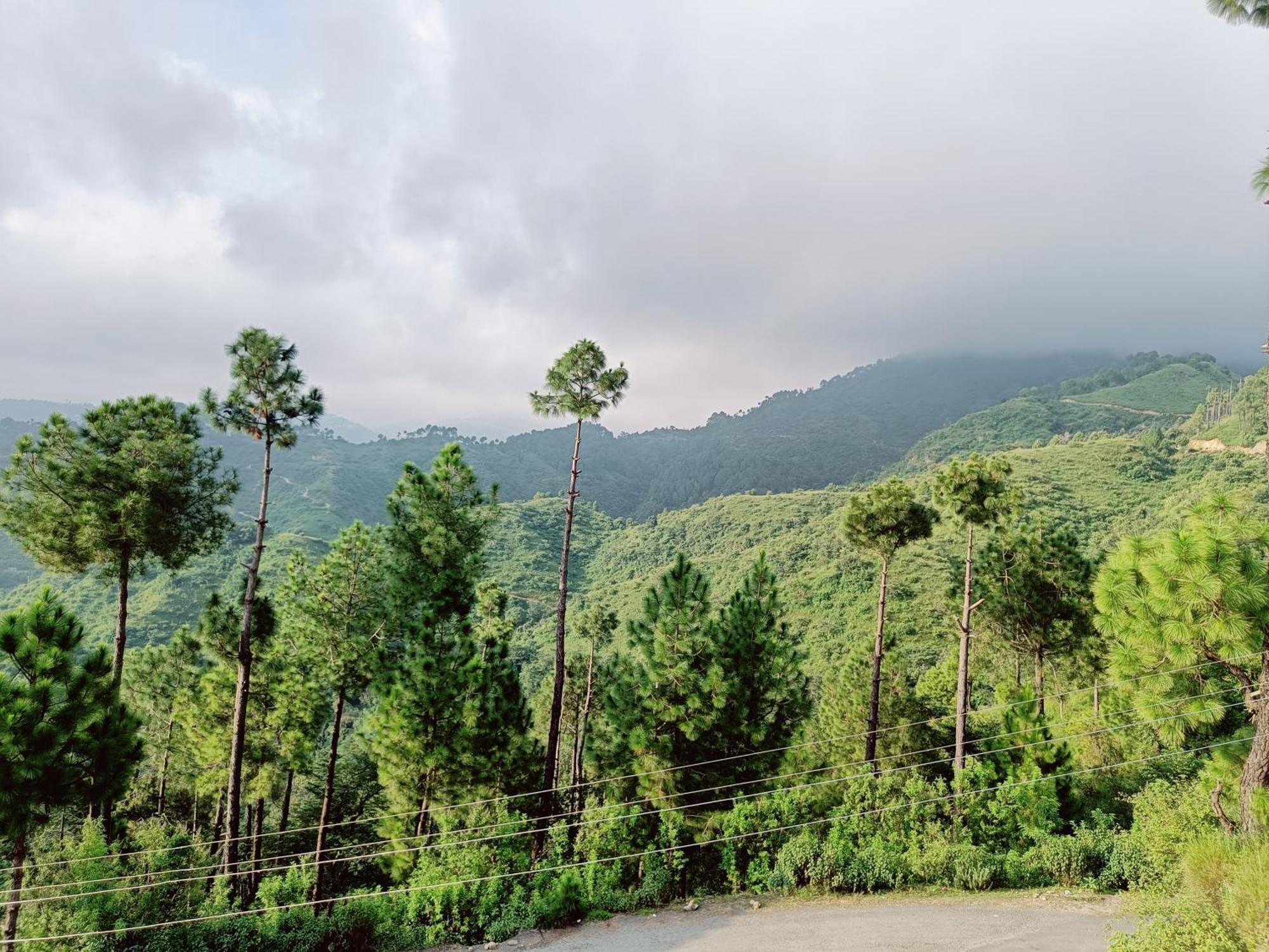 Hill Side Guest house *