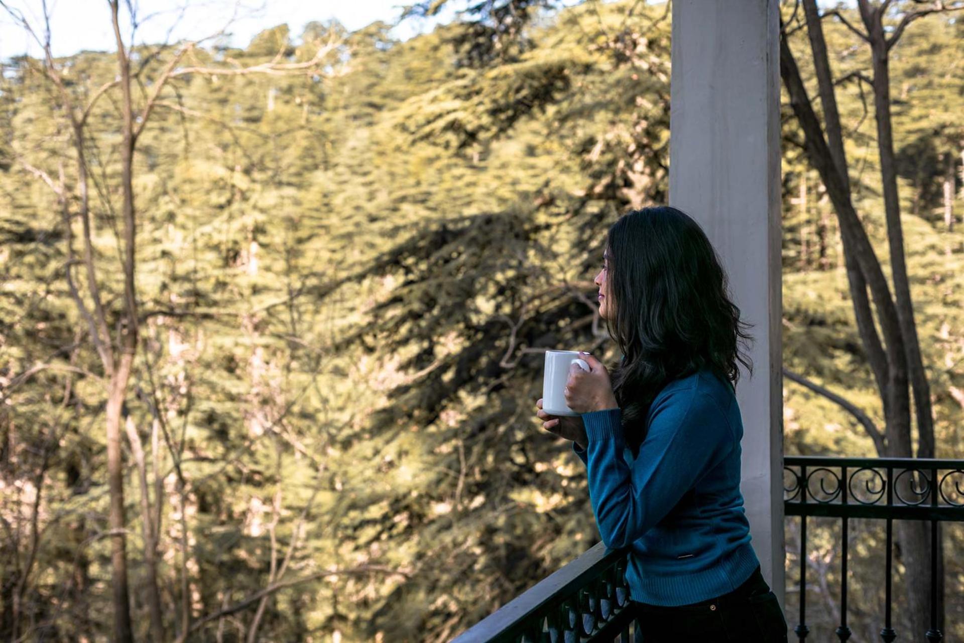 Stayvista At Pine Estate With Outdoor Jacuzzi Shimla