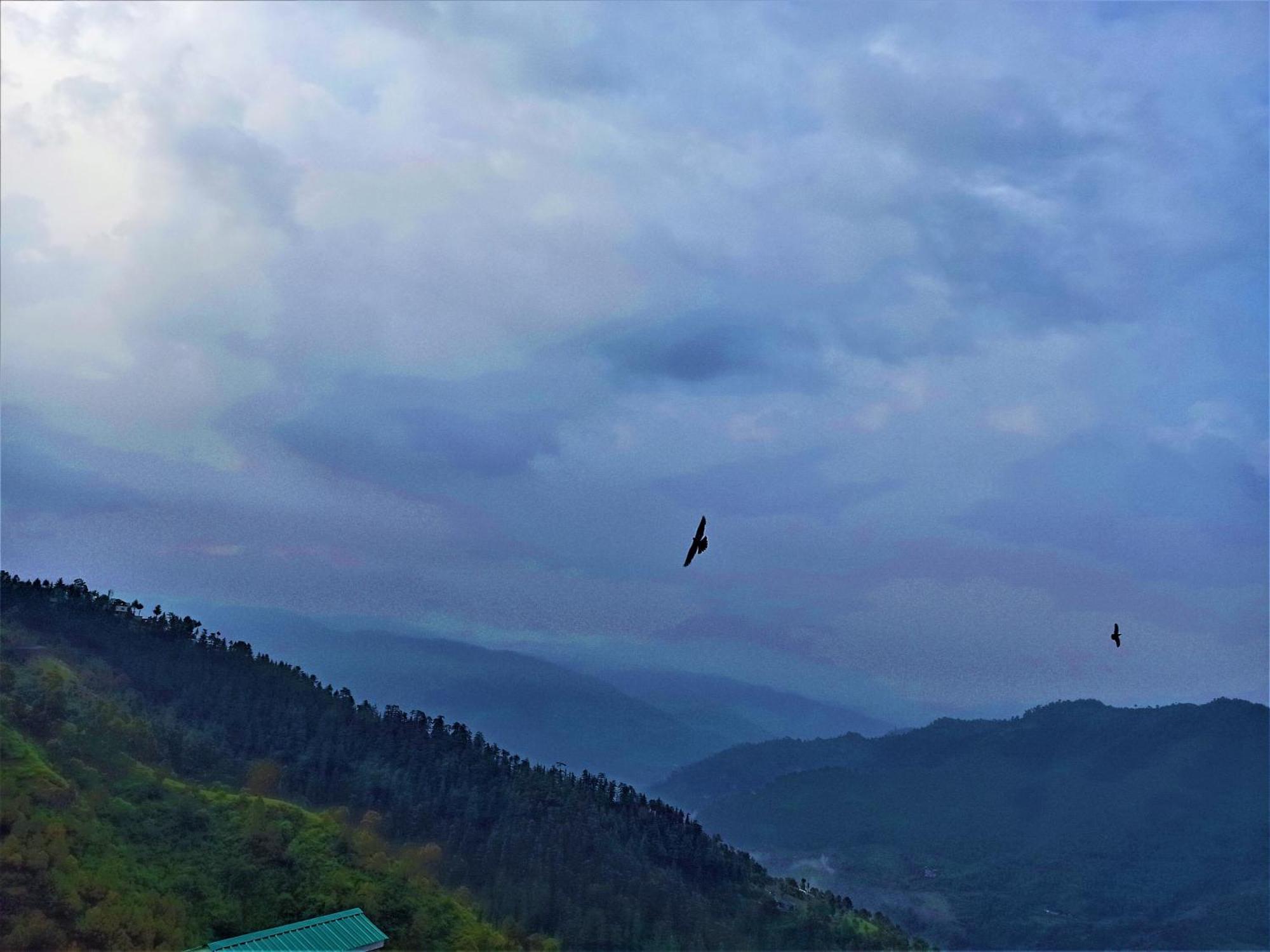Homestay Mountain And Peace *