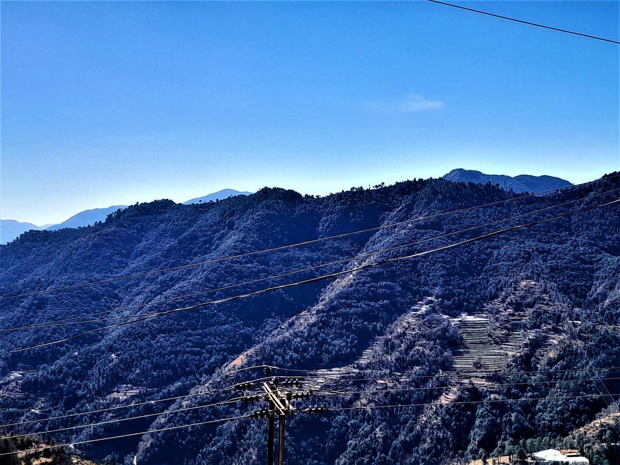 Mountain And Peace Homestay *