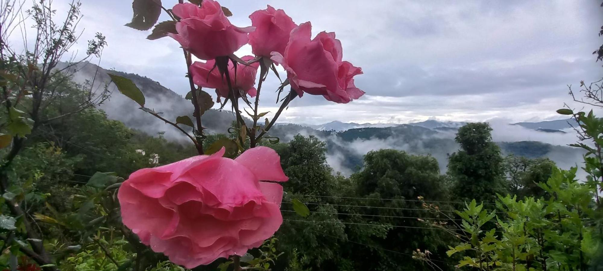 Bed & Breakfast Sunrise *