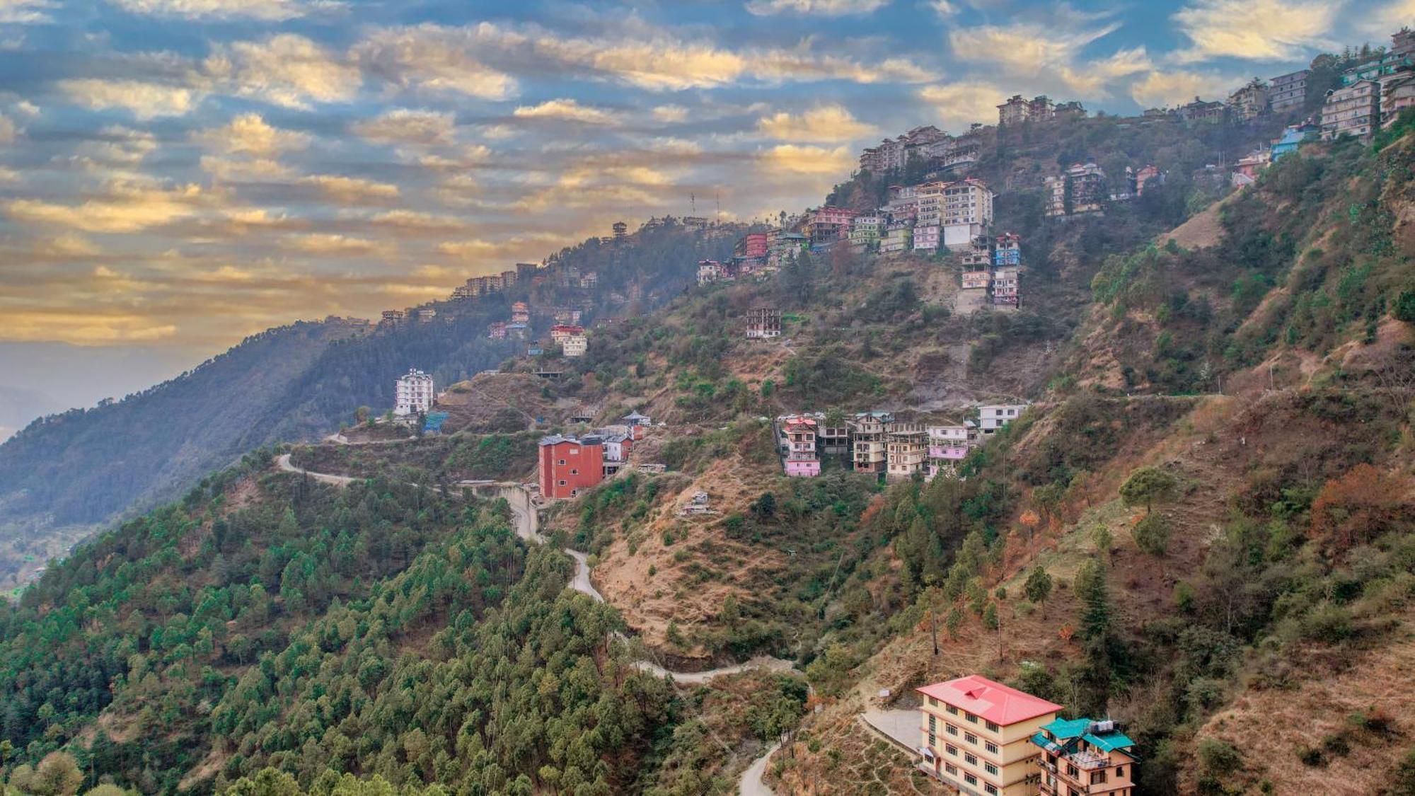 Alaya 3 Bhk With Hill View - Cliff Trident Shimla