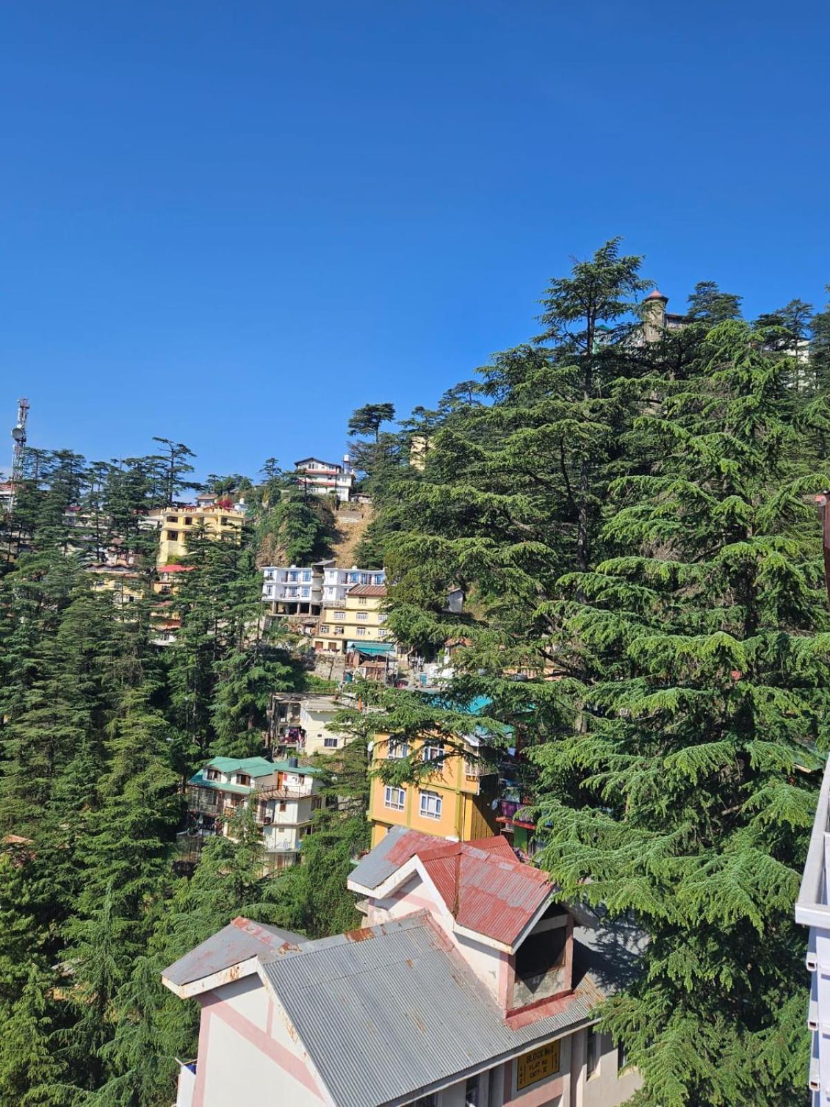 Cozy Cove - Newly Built 3bhk Duplex With Rare Valley View Shimla