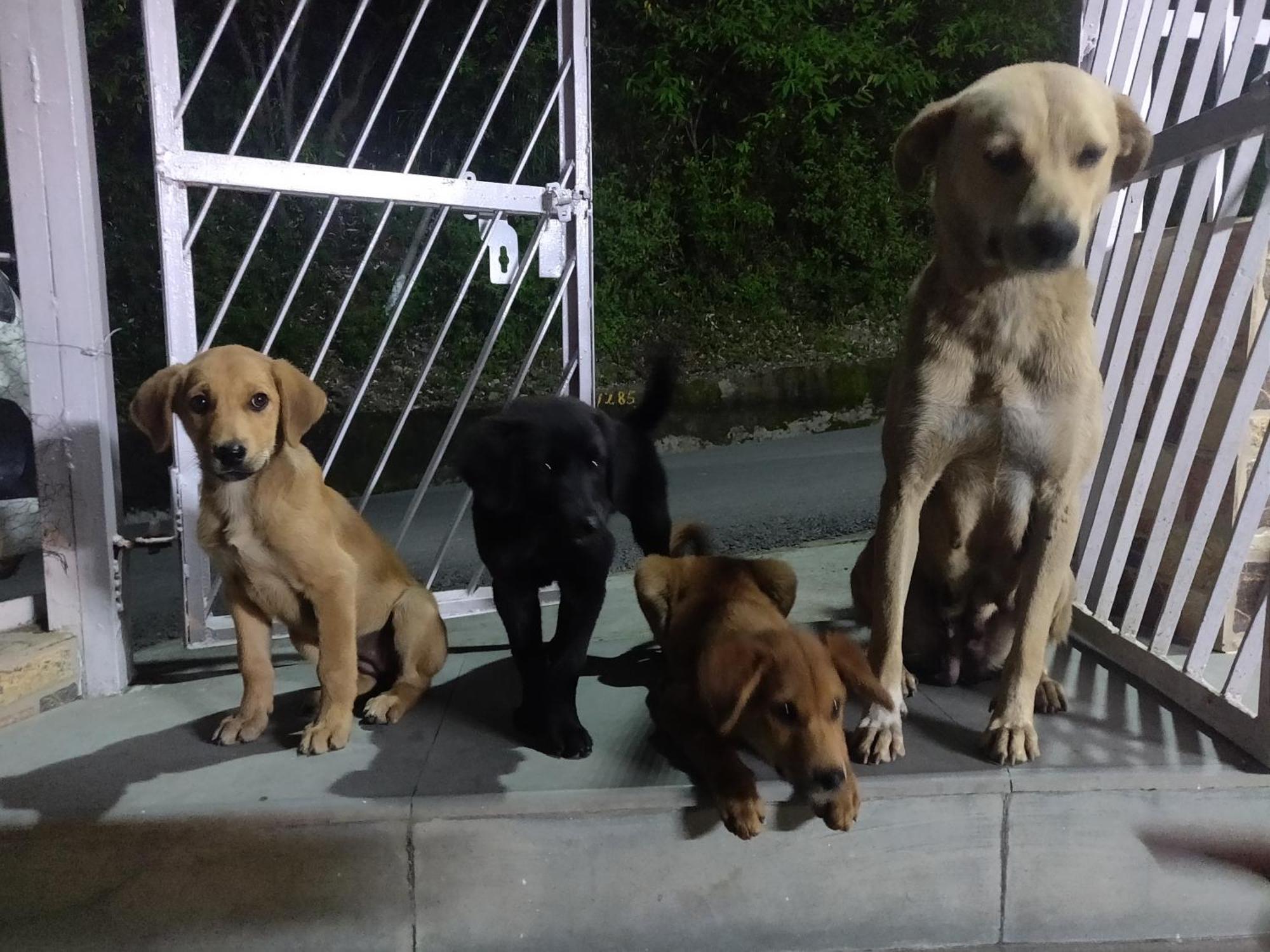 Vatsalyam Homestay