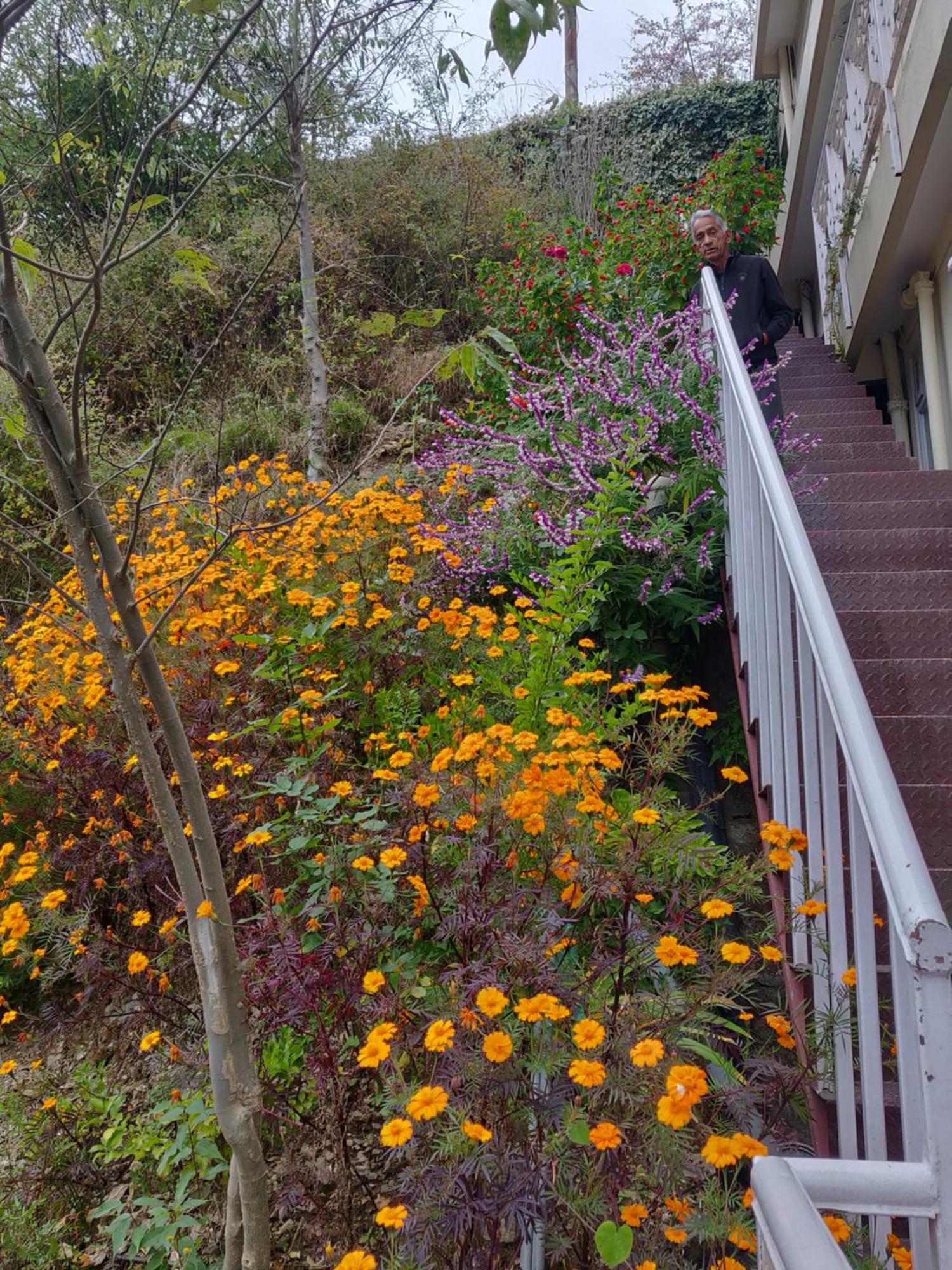 Homestay Vatsalyam Shimla
