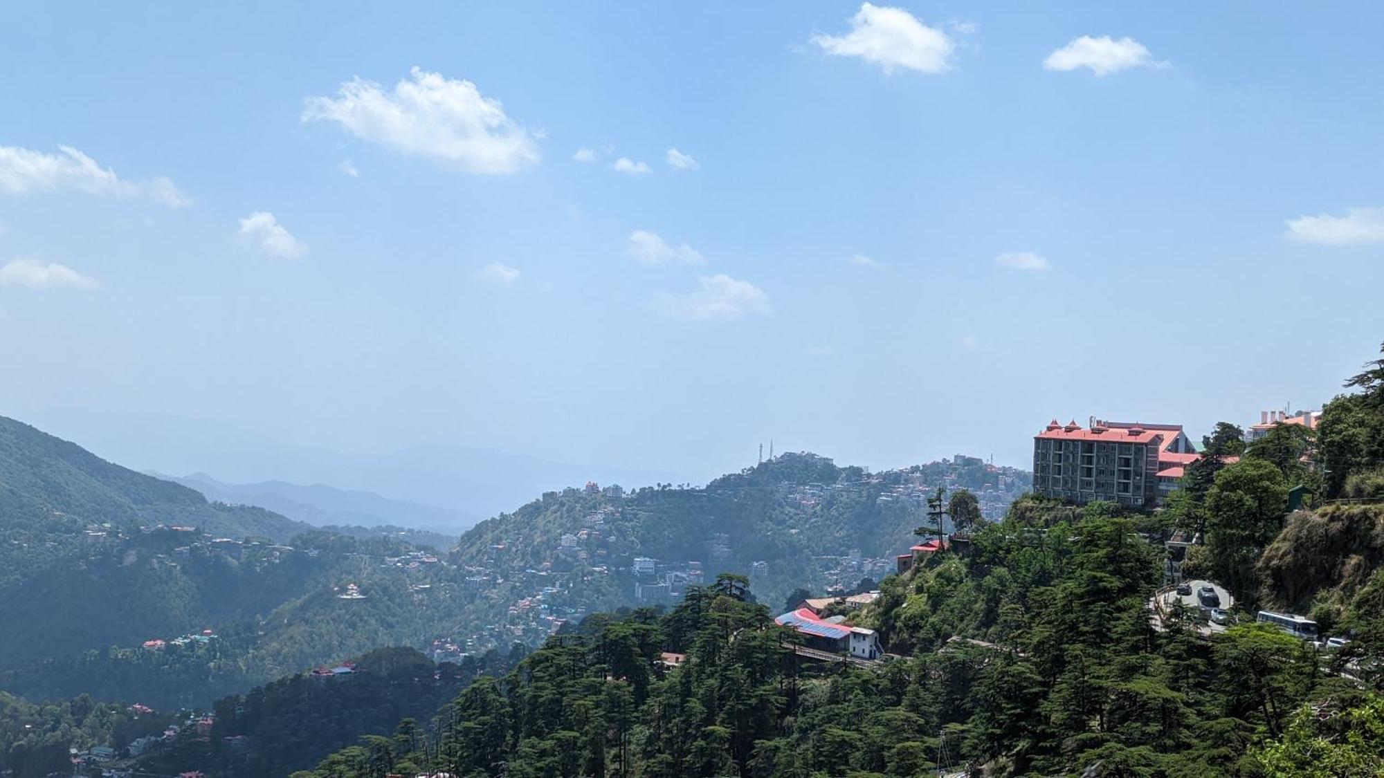 The Thistle Shimla