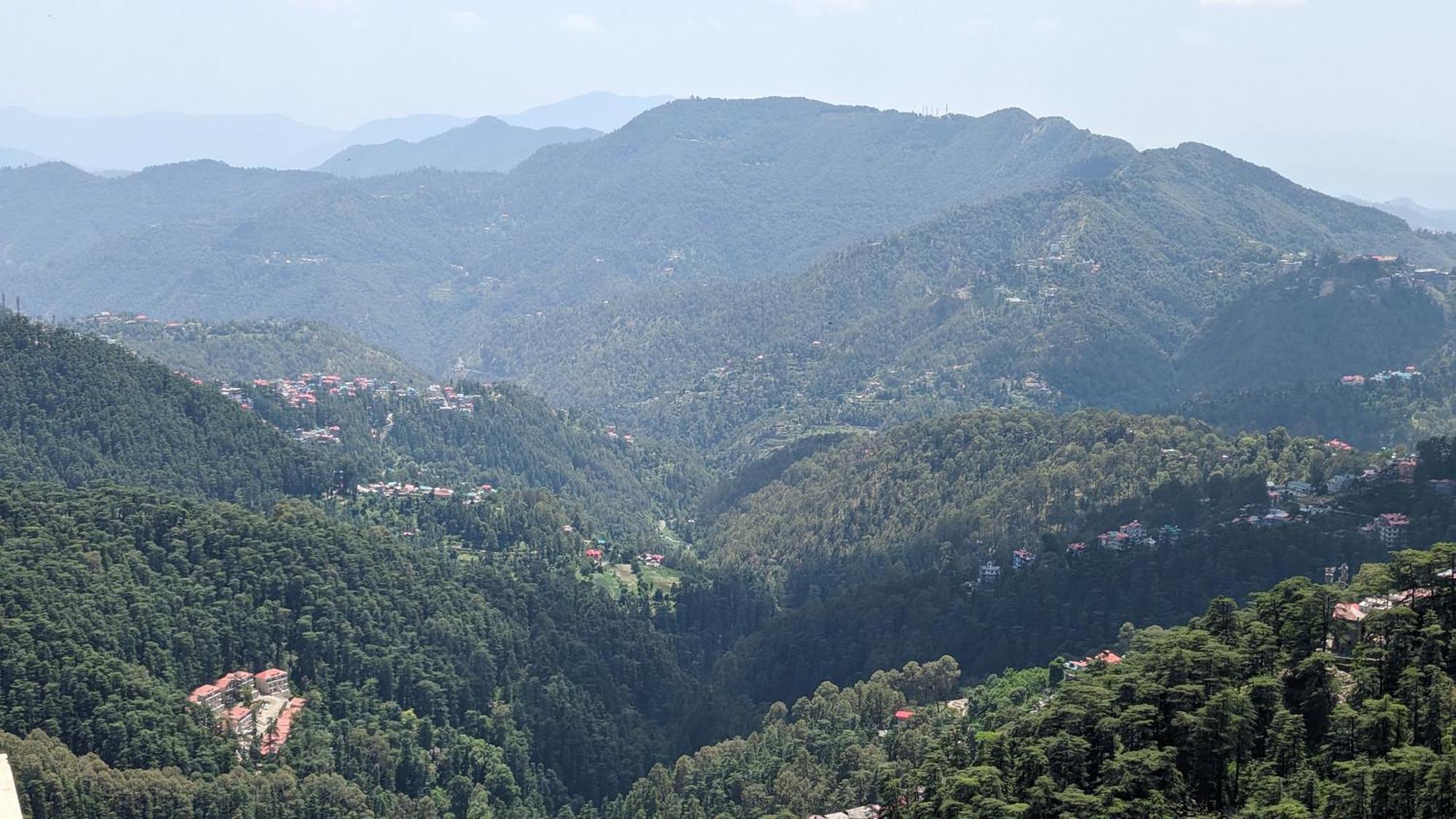 The Thistle Shimla