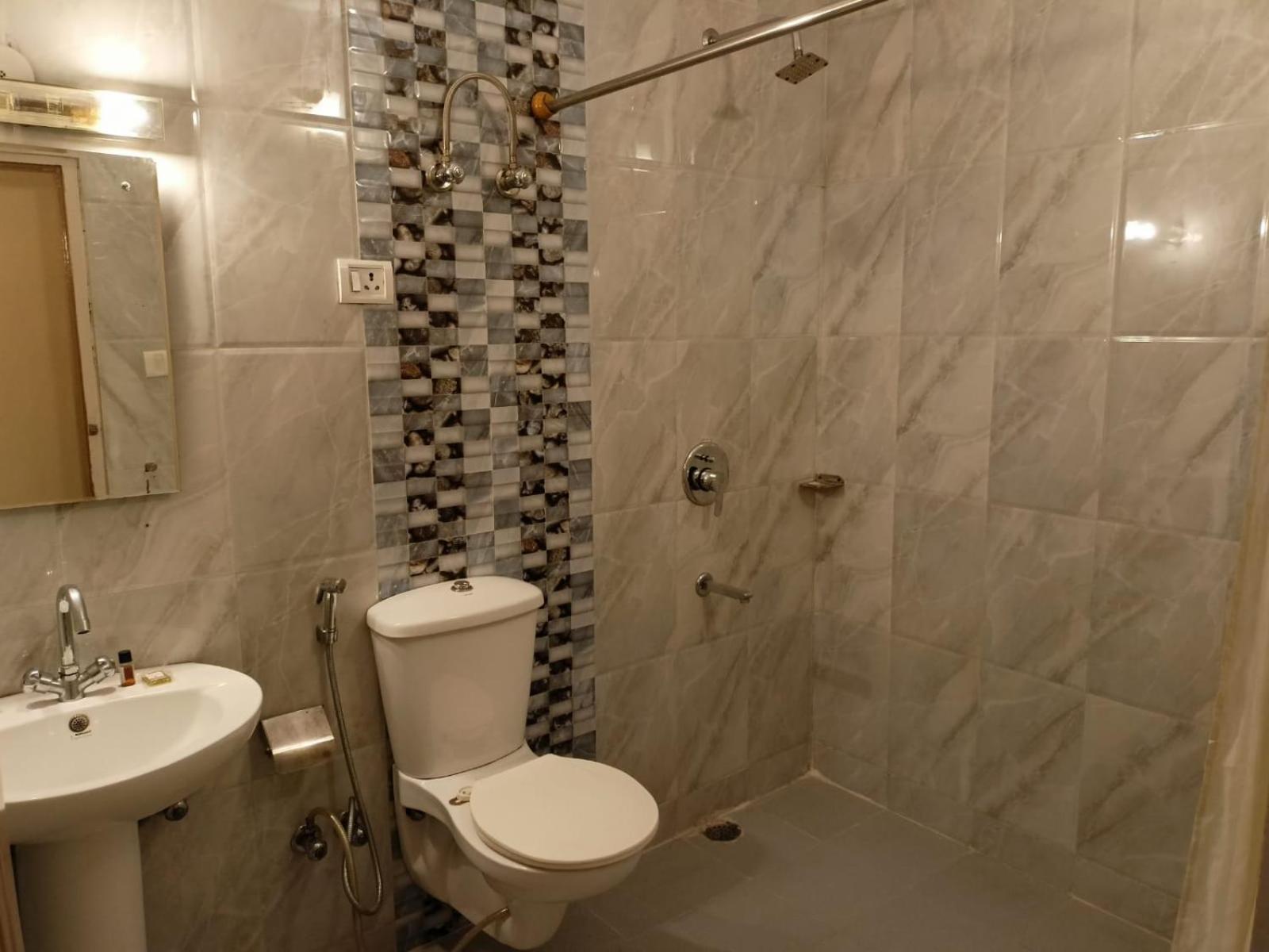 Hotel The Grand Madhushala 3*