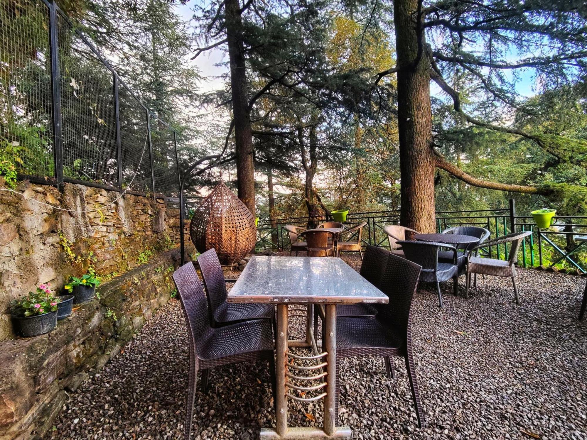 Jakhu Vibes Bed & Breakfast 3*