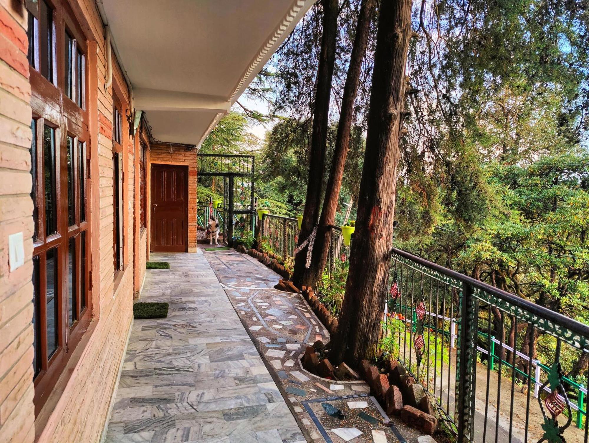 Bed & Breakfast Jakhu Vibes 3*