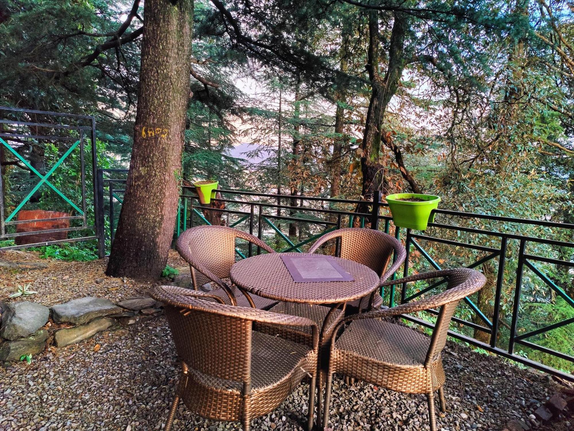 Jakhu Vibes Bed & Breakfast Shimla