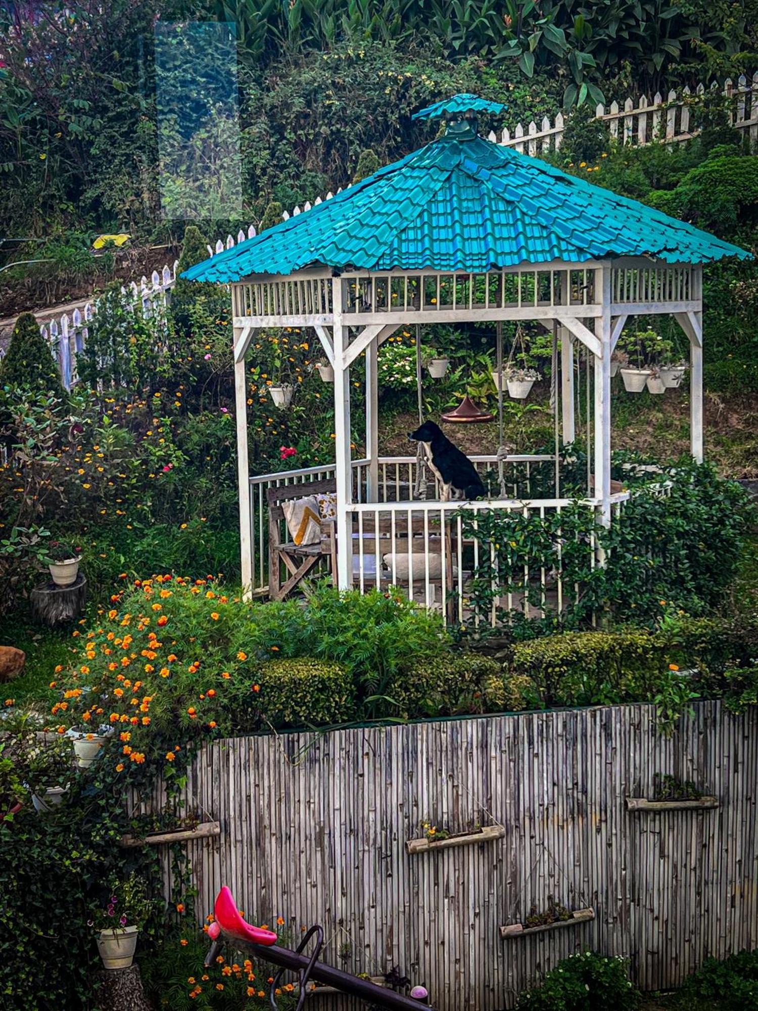 Hotel The Nilaya