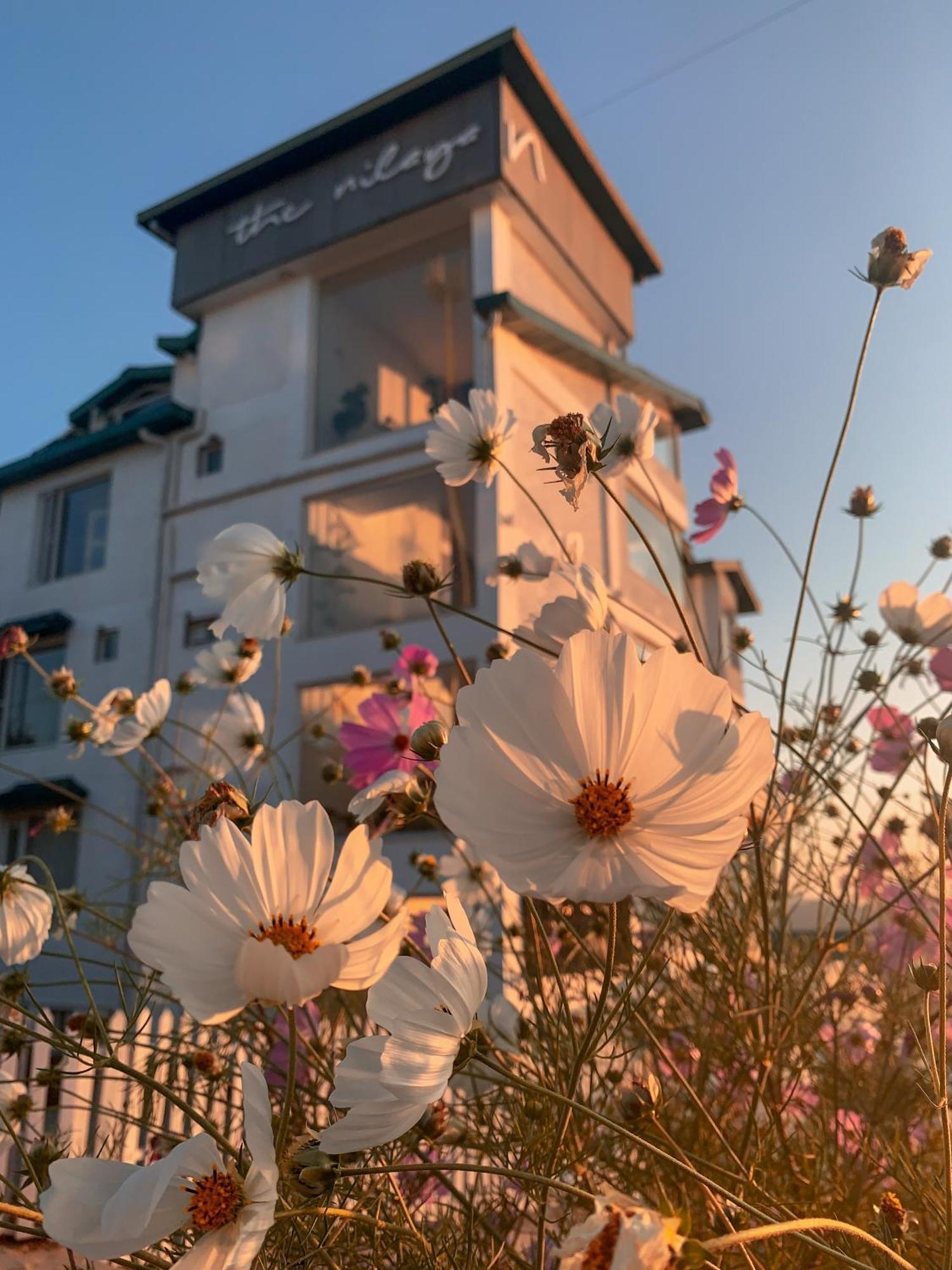 The Nilaya Hotel