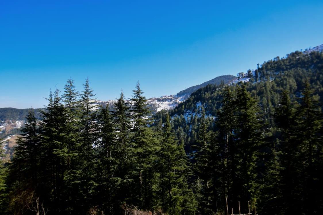 Gulmarg Height Homestay, Kufri-hp * Shimla