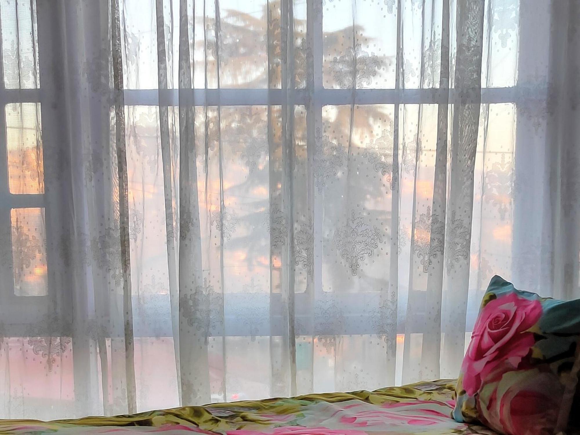 Curve Apartment Shimla