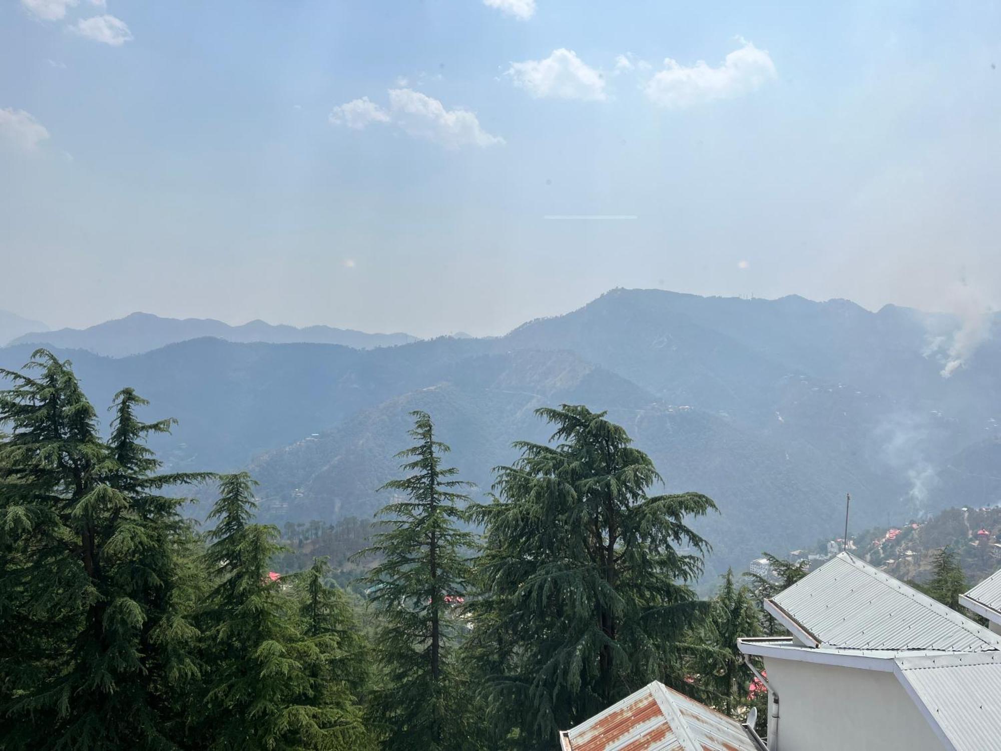 Rathore's Shimla