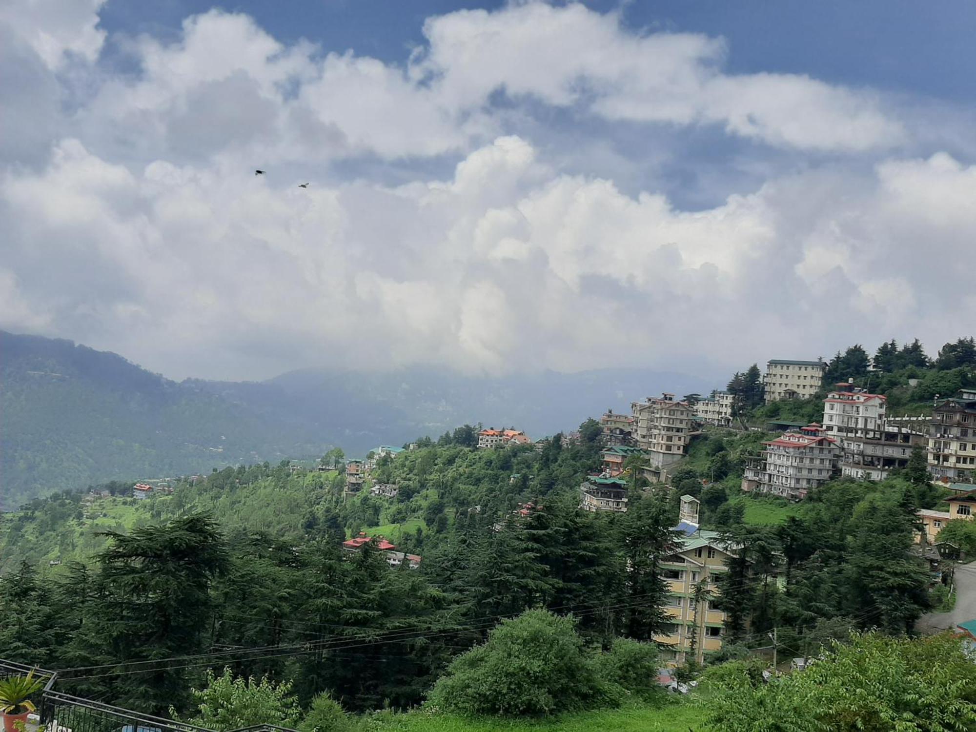 Homestay Rathore's *