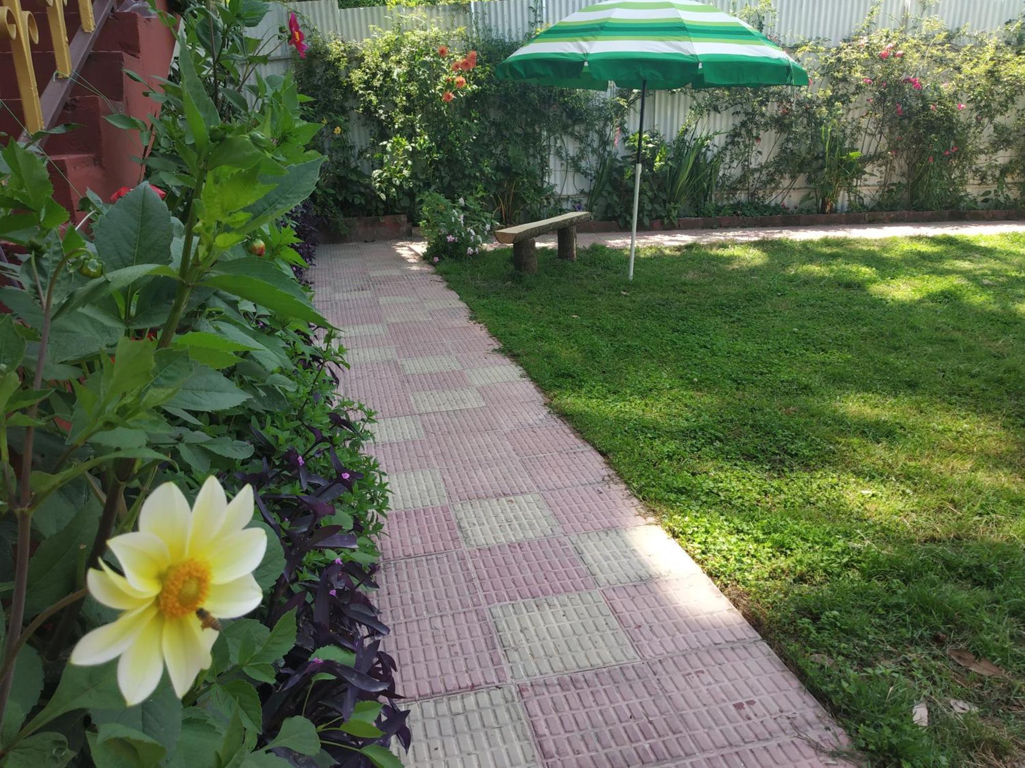 Garden Bed & Breakfast
