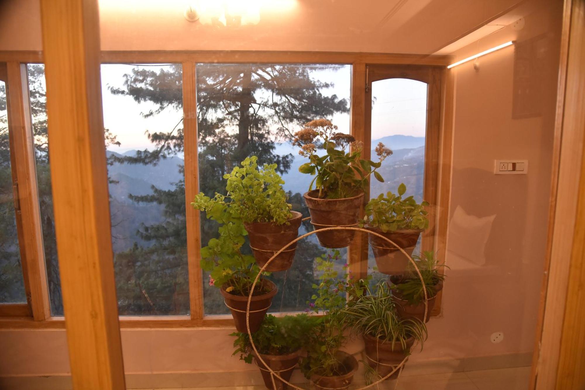 Mashobra Valley Hotel *