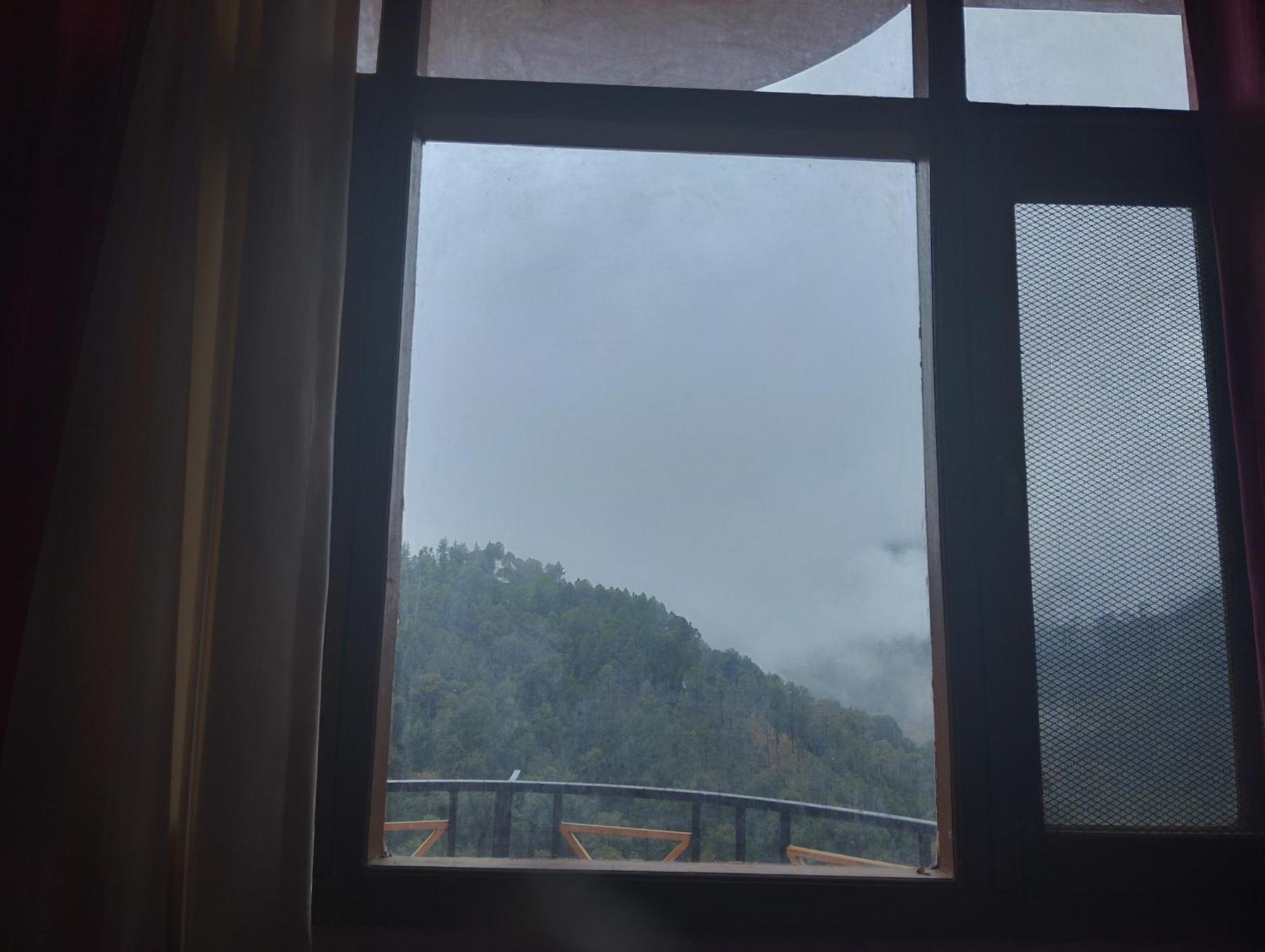 Sunshine Alone Time With Nature * Shimla