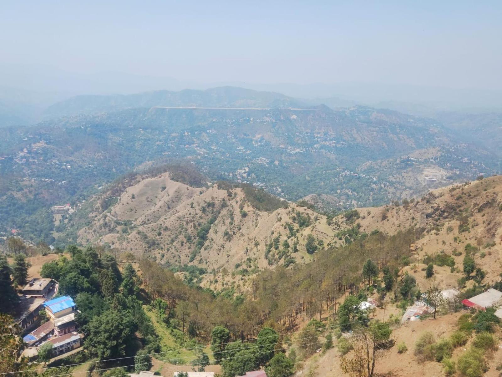 Thakur Apartment Shimla