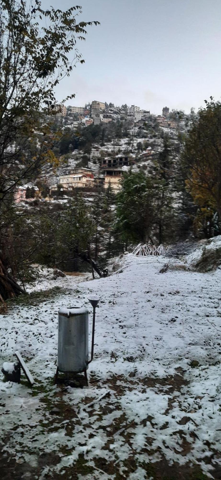 Sejal * Shimla