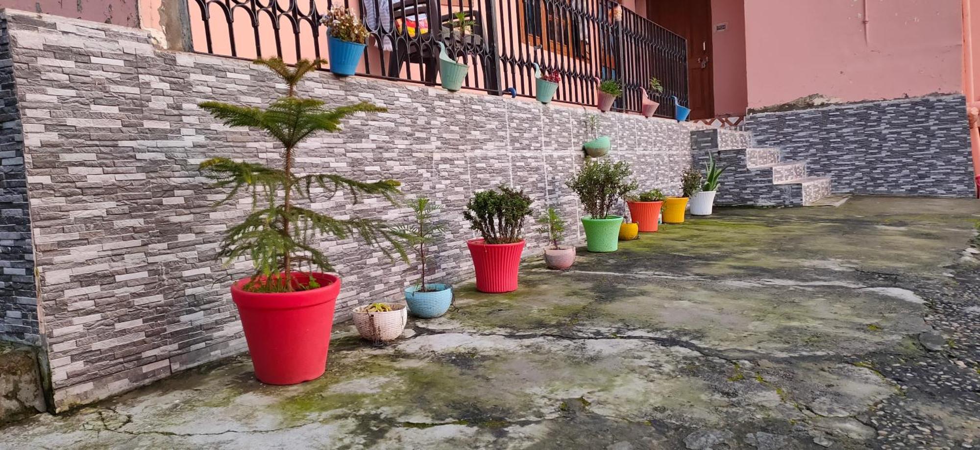 Sejal Homestay Shimla