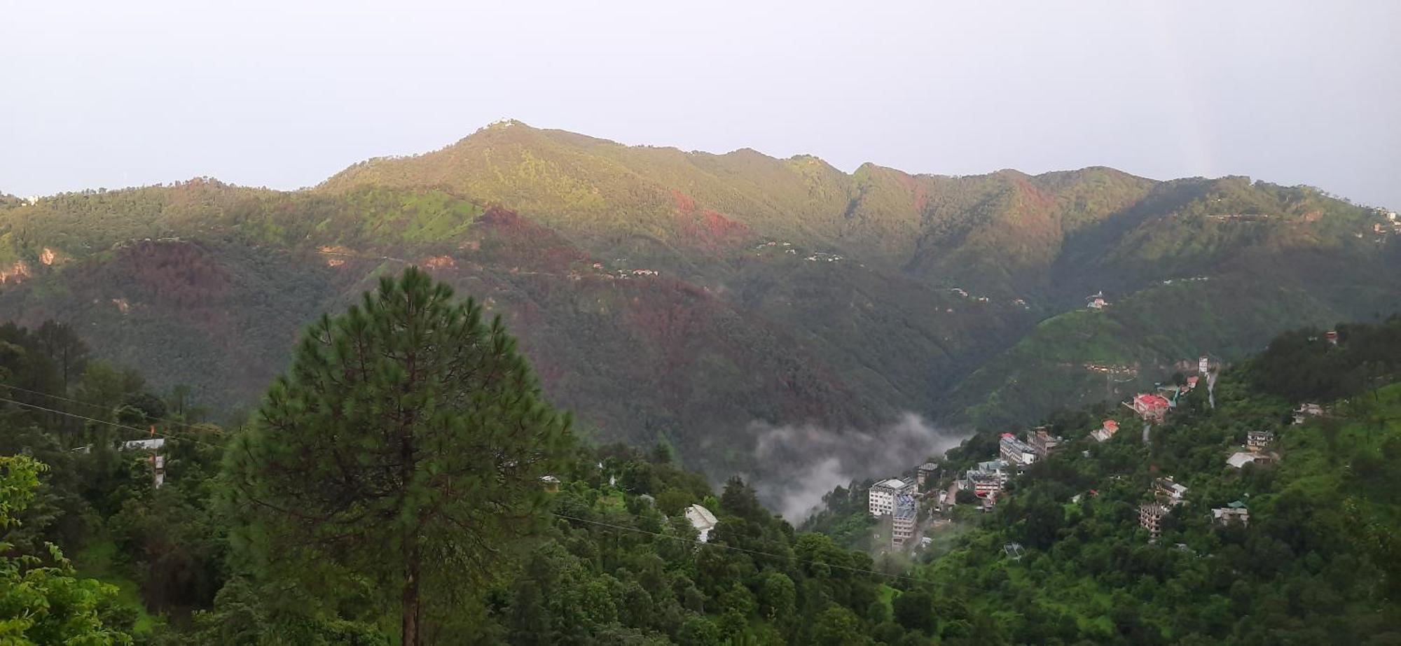 Sejal Shimla