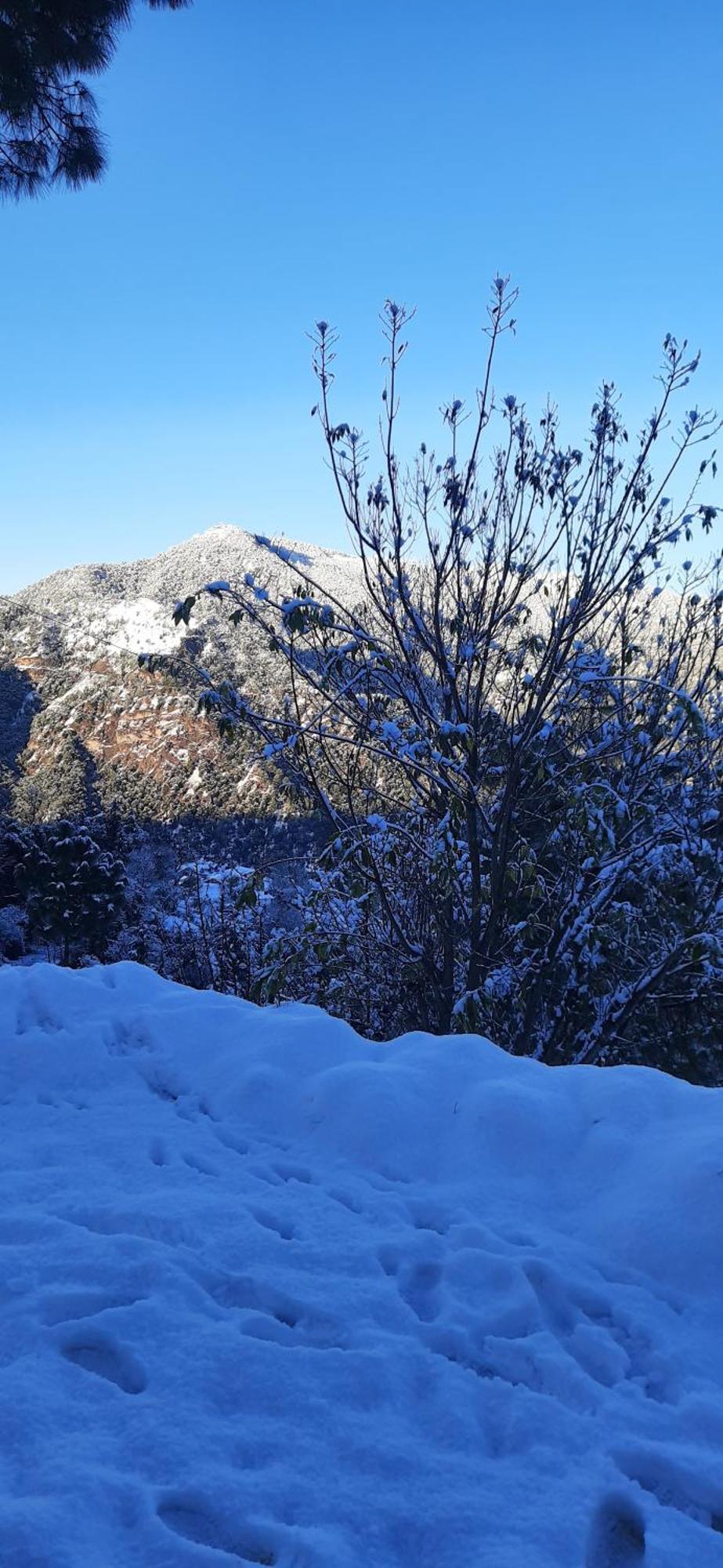 Sejal * Shimla