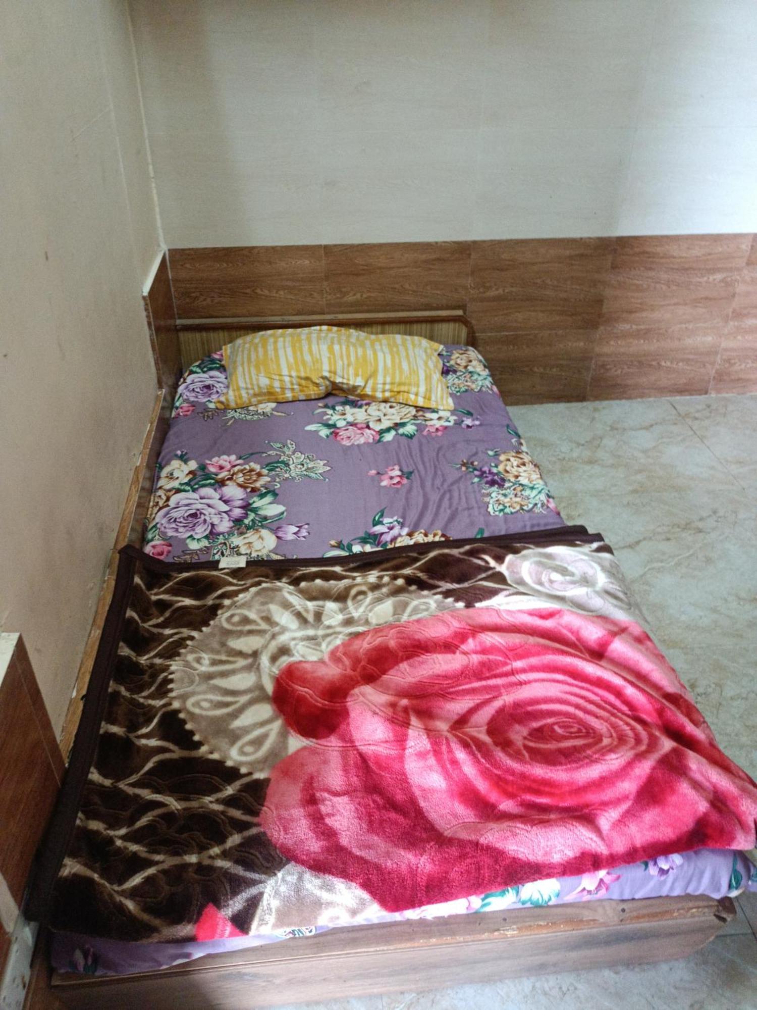 Zoz Sm5 Shimla