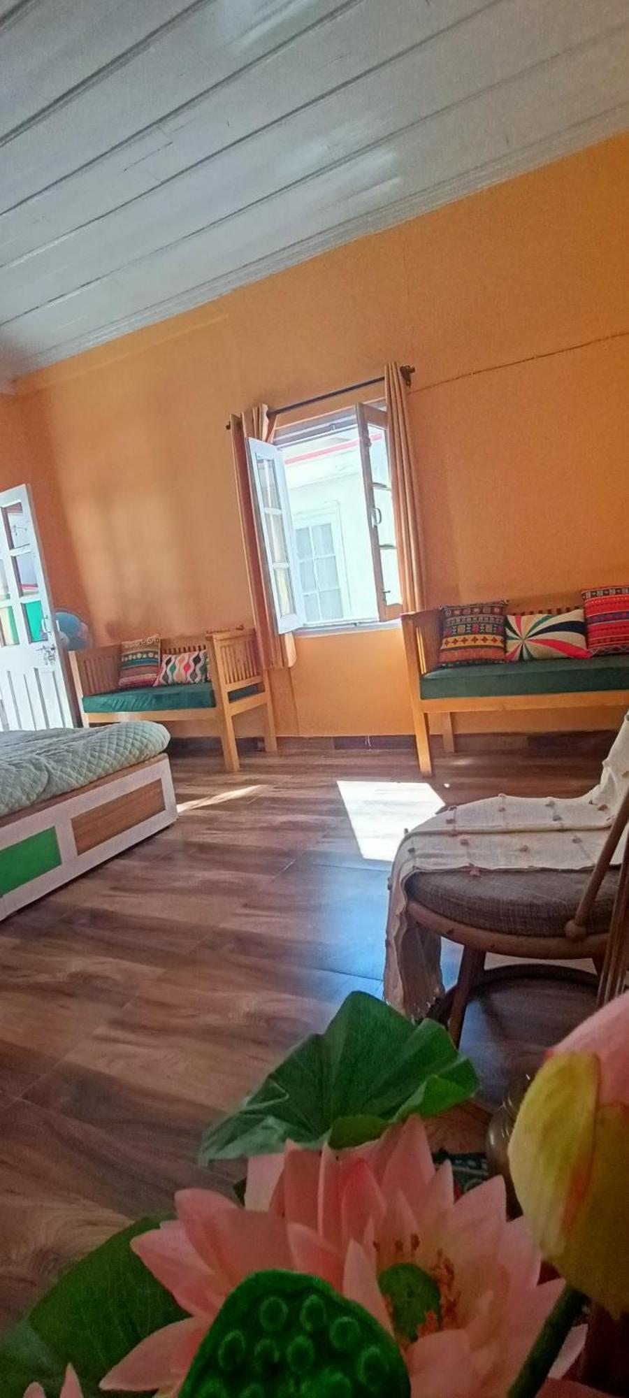 Apartment Pet Friendly Summer House