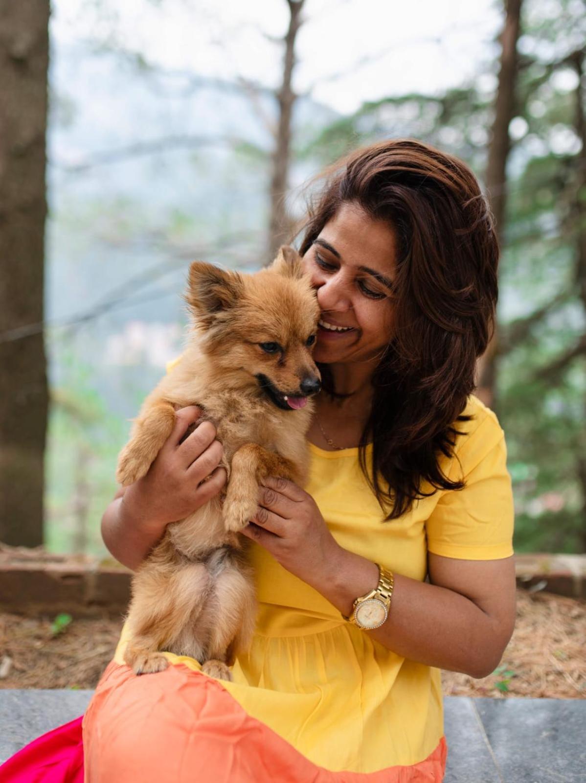 Pet Friendly Summer House * Shimla