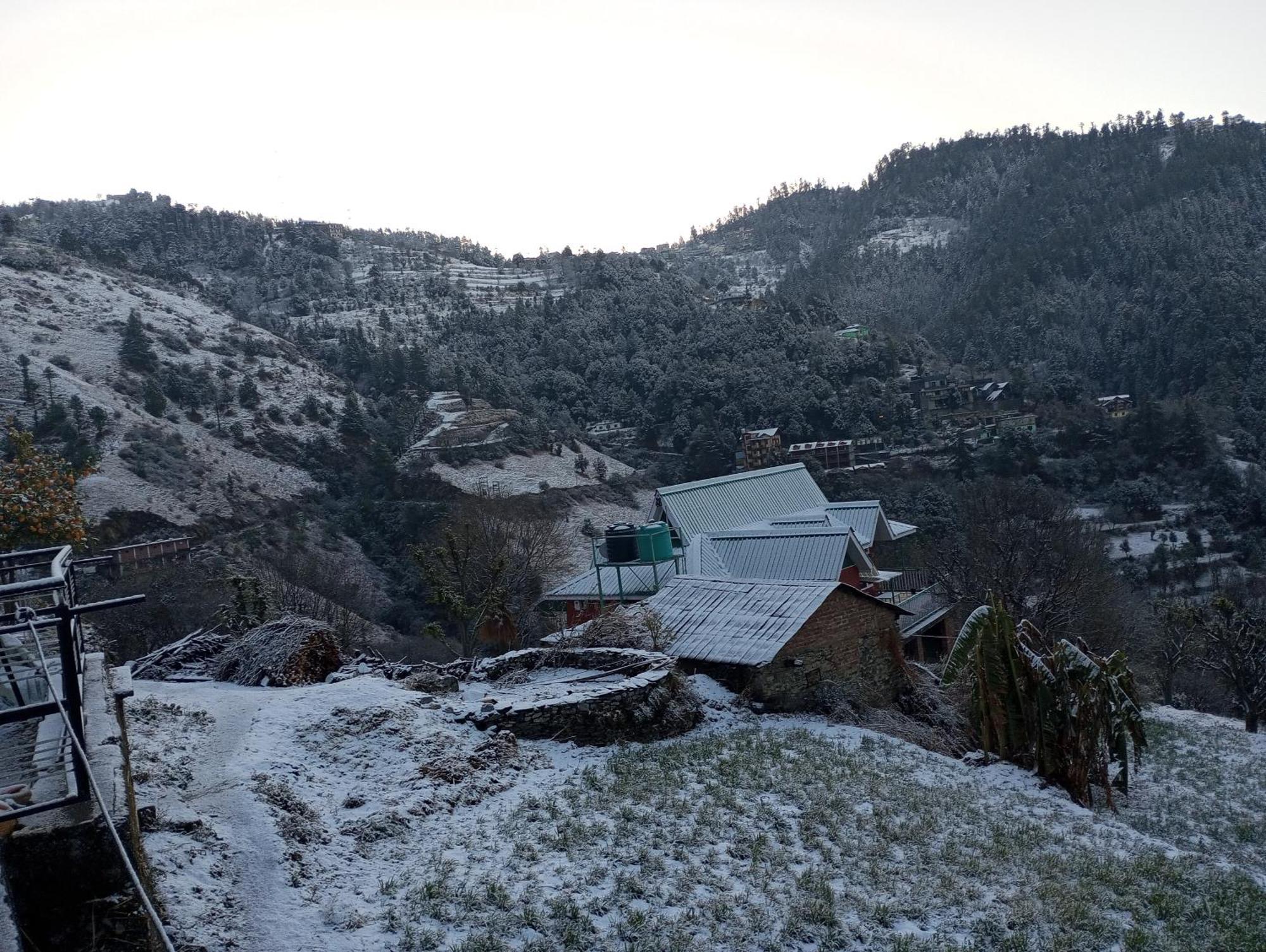 Homestay Kanak